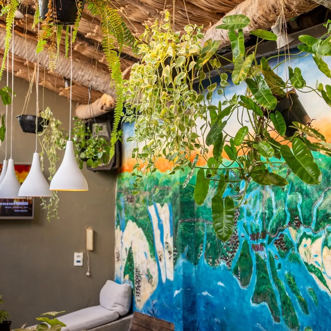 Hostel com quartos compartilhados ou privativos
500m da praia
Wi-fi
Café da manhã
#jericoacoara #brazil #hostellife