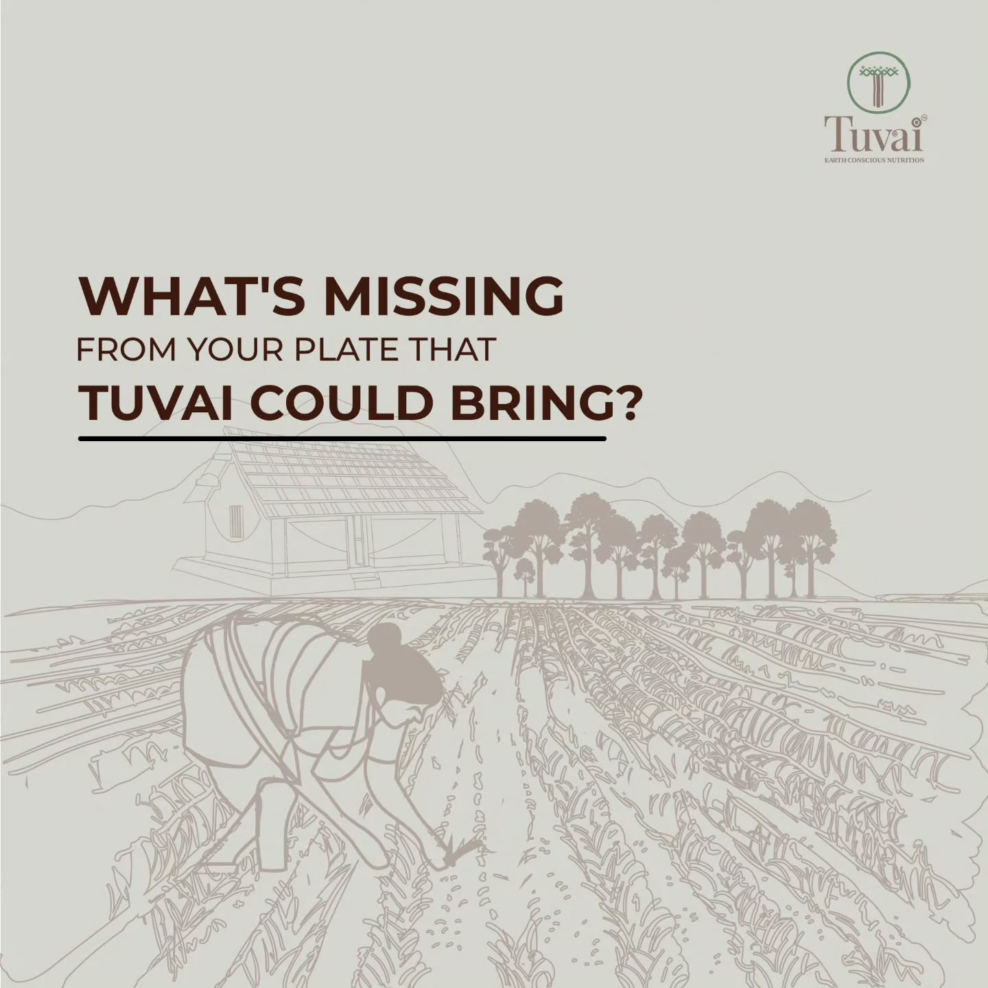 Incorporate Tuvai into your diet and embark on a journey of small, positive changes that pave the way to a healthier and happier you. Nourish your body, mind, and soul with the goodness of nature. It's time to savor the organic difference and embrace a life well-lived.
Because a vibrant you begins with what you choose to put on your plate.
Shop our premium natural products at www.tuvainature.com
-
-
#tuvainature #organicproduct #JharkhandPride #OrganicGoodness #farmerslife #indianfarmers #sustainbleagriculture #traditionalfarmingpractices