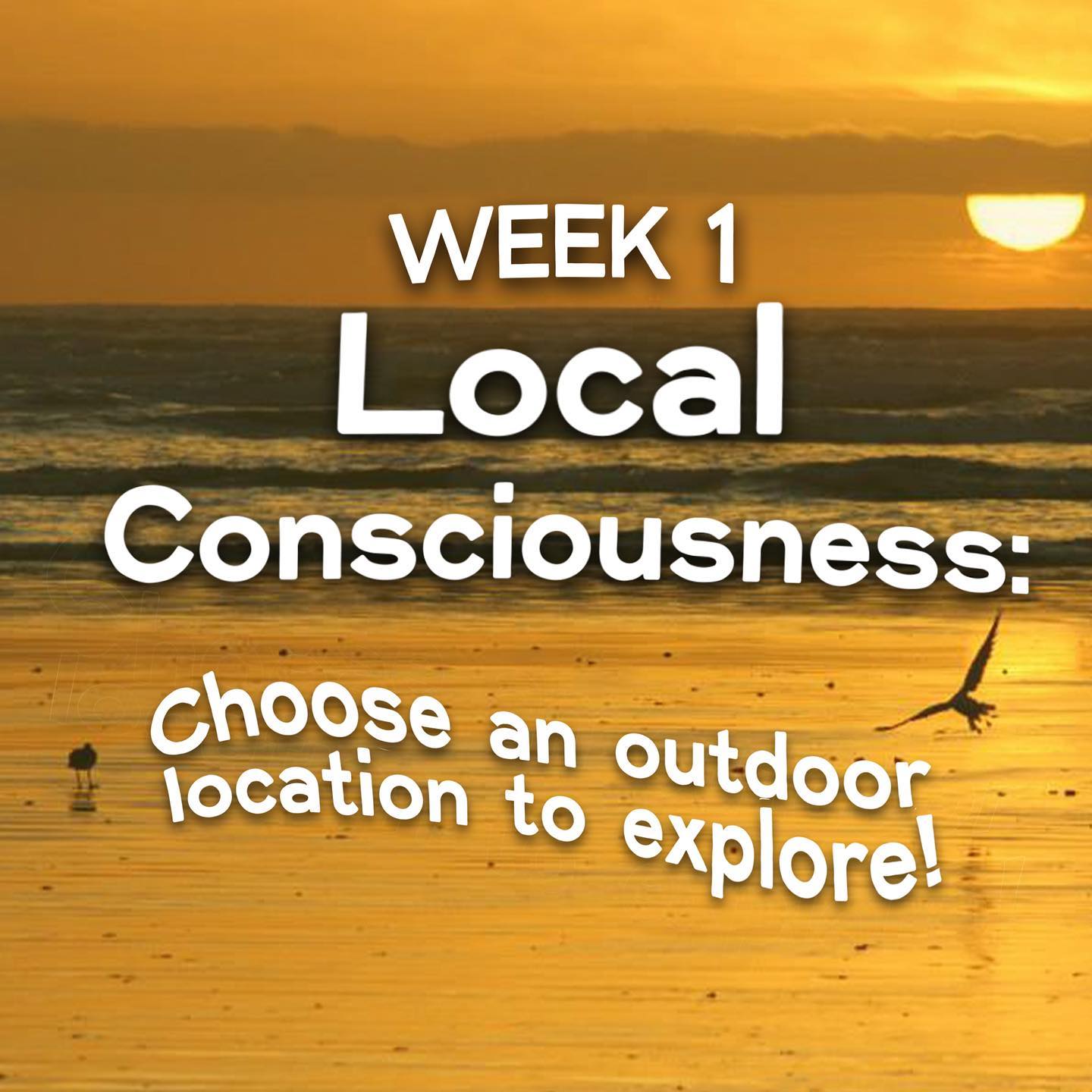 Now let's dive into week 1 activities:
LOCAL CONSCIOUSNESS: Choose an Outdoor Location!
I believe my deep love for nature grew through being immersed in its wonder as a child and this love is what has inspired me to want to care for it. Being busy and often working indoors online, it is easy these days for me to be disconnected from what is happening in nature just a step outside my door. I have found that my consciousness grows through relationships and that by immersing myself in my surroundings I become more in tune with them. I found this definition of Consciousness in the Merriam Webster Dictionary resonant with the activities invited for this week of the challenge: "Consciousness: a) the quality or state of being aware especially of something within oneself. b) the state or fact of being conscious of an external object, state, or fact. c) awareness."