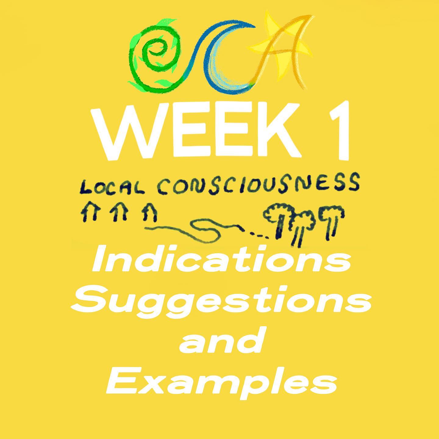 Here are some indications, suggestions and examples to help guide your process