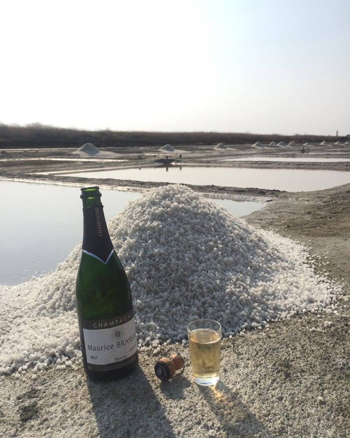 Place à la troisième partie de notre série de présentations de nos cuvées, après Émile et André voici Maurice Brassart, il représente la cuvée de Réserve, c’est un assemblage des 3 cépages présents sur notre exploitation, mais la particularité est son vieillissement, en effet les bouteilles de champagne issues de la cuvée Réserve sont stockées dans nos caves pendant au minimum 6 ans, en ce moment la cuvée réserve vendue date de 10 ans. Pour déguster cette cuvée rendez-vous à Moussy sur l’exploitation du Champagne Brassart, n’hésitez pas à prendre rendez-vous, cela vous assure la présence de quelqu’un sur le domaine ; ou sur notre site internet champagnebrassart.com. À votre avis, quelle sera la prochaine cuvée présentée le mois prochain ? Abonnez-vous pour ne louper aucune publication !
#champagne #champagnereserve #champagnebrassart #îlederé #selilederé