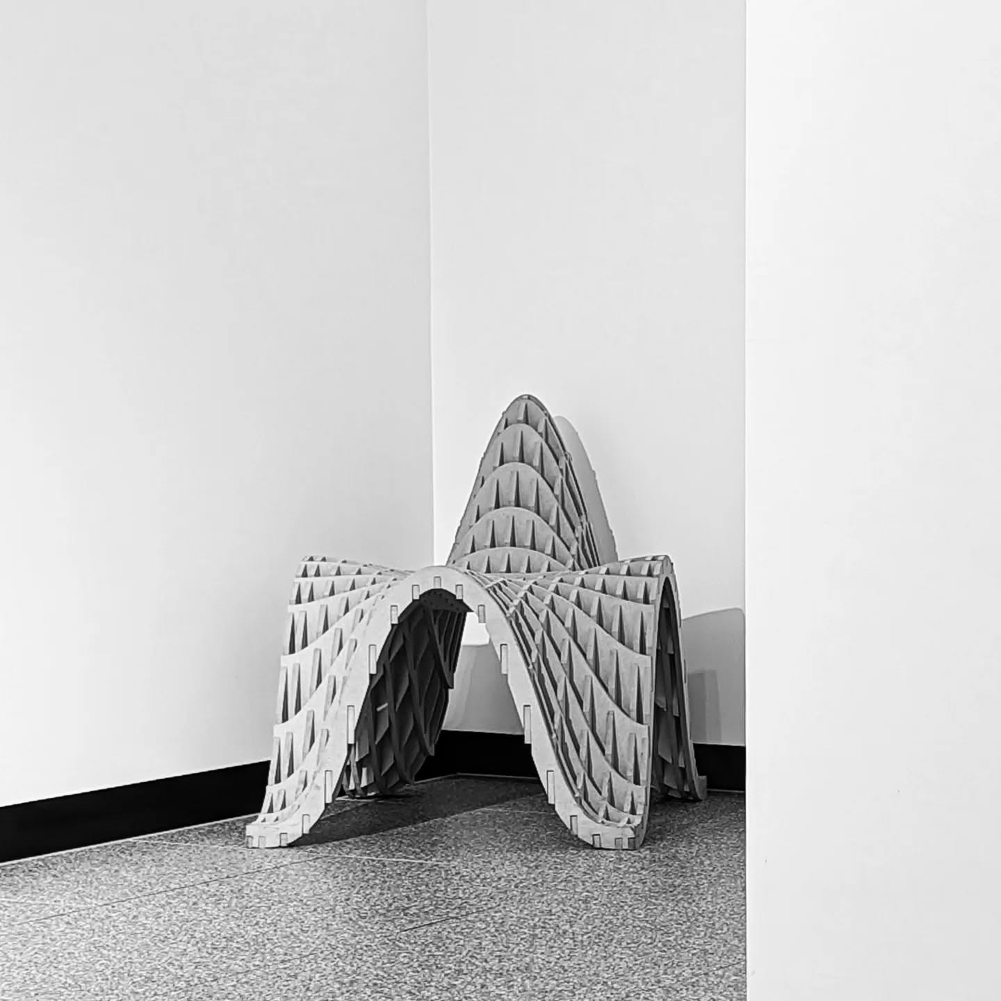 In my journey at Studioparametrico, the Starfish Chair stands out as a cherished creation—the first of many, its design is a poetic beginning to my exploration of form and function.
#furnituredesign
#architecturedesign
#organicfurniture
#parametricdesing