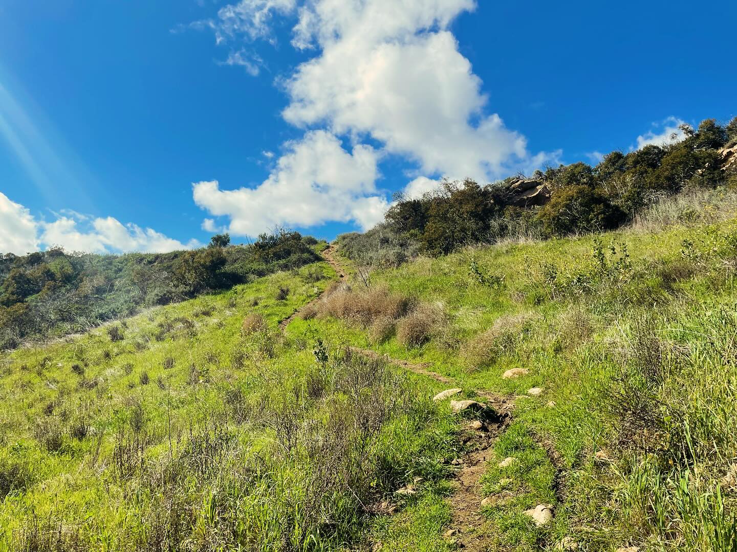 “If a man does not keep pace with his companions, perhaps it is because he hears a different drummer. Let him step to the music he hears, however measured or far away.” ~ Henry David Thoreau
Hear me out, mud skating down hills?