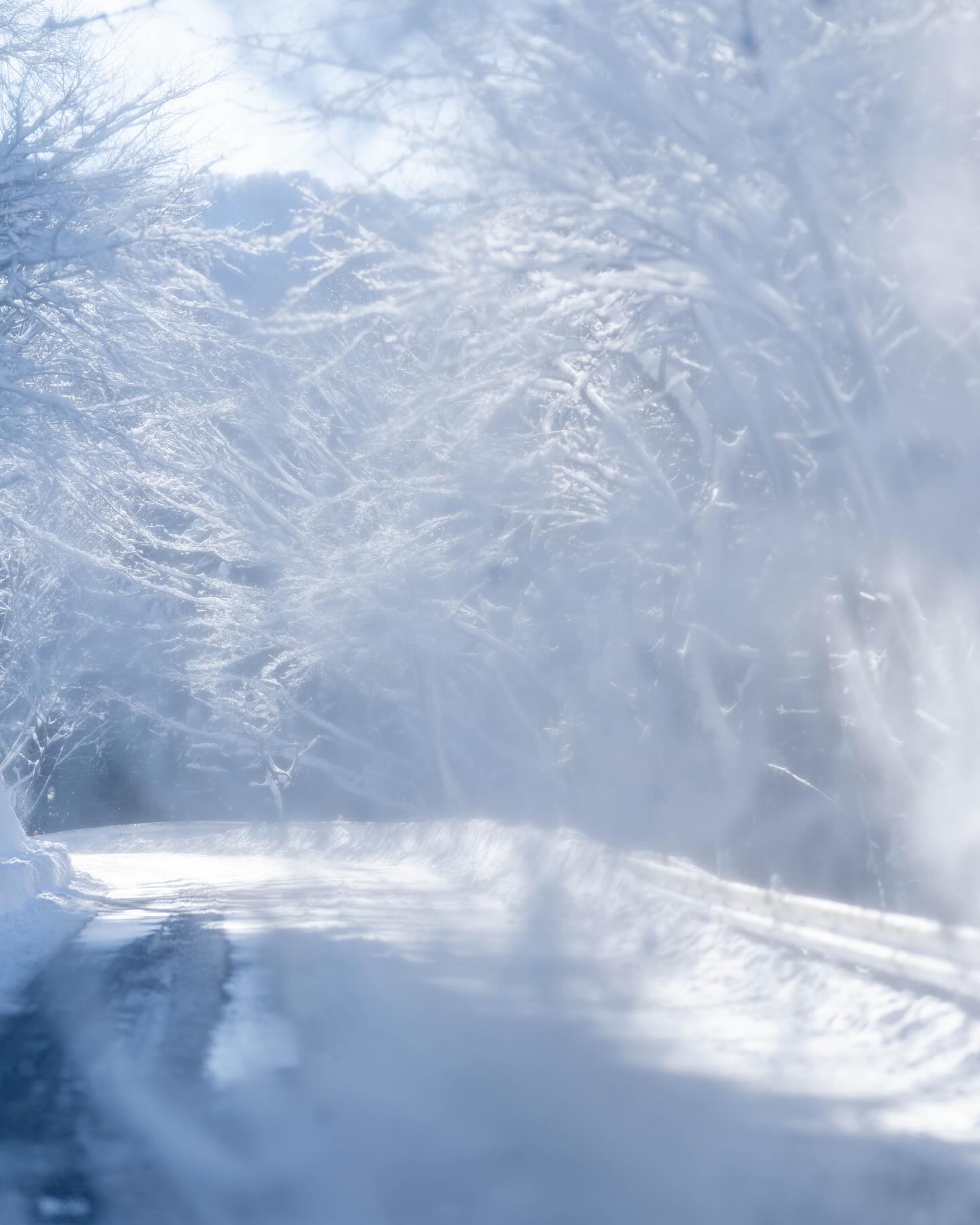 #大島屋 #三峯神社 #三峰神社 #三峰 #三峯 #雪 #雪化粧 #やま #青空 #秩父