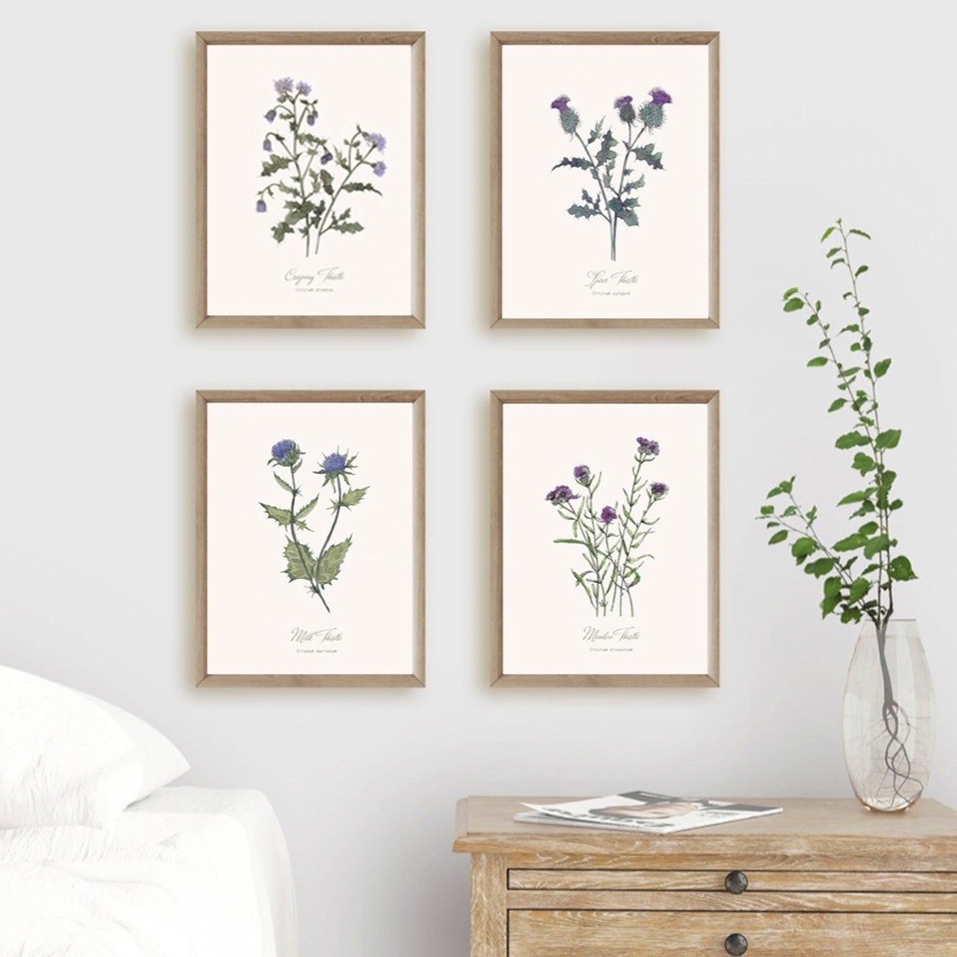 Set of four botanical Thistle prints are now back in stock over in my shop ........#botanicalinterior #homedecortrends #hackneyandcodesign #printsforthehome #neutraldecor #HomeDesign #HomeInspo #botanicalprints #scottishthistles