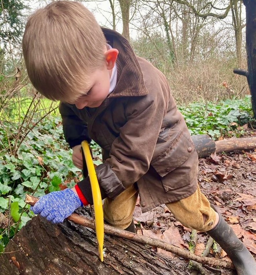 Lower Elementary learned to use a bow saw, identify creatures and fungi, sharpen sticks, construct shelters, start a fire, and boil and pour water safely. Thank you Mrs Marden!