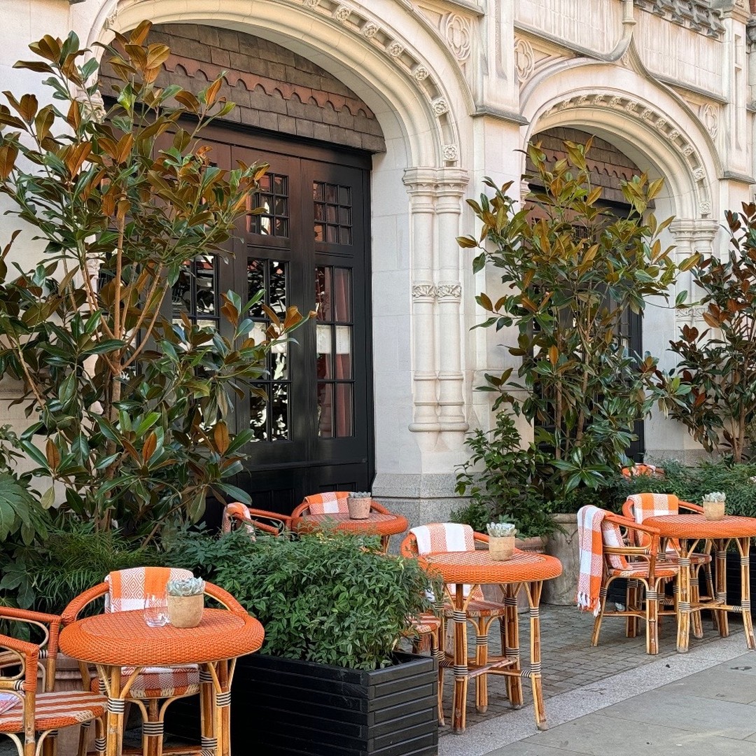 We have just finished a new planting scheme for the main facade of the Chiltern Firehouse Hotel. Consisting of Magnolia grandiflora trees which frame the doorways and are underplanted with evergreens with contrasting leaf textures inc Fatsia japonica, Nandina domestica and Camellia japonica
#Fatsia #Magnolia #Evergreen #Camellia #tuliplandscapes #londonhotel #hotel #chilternfirehouse #londongardener #londonlife #greencity