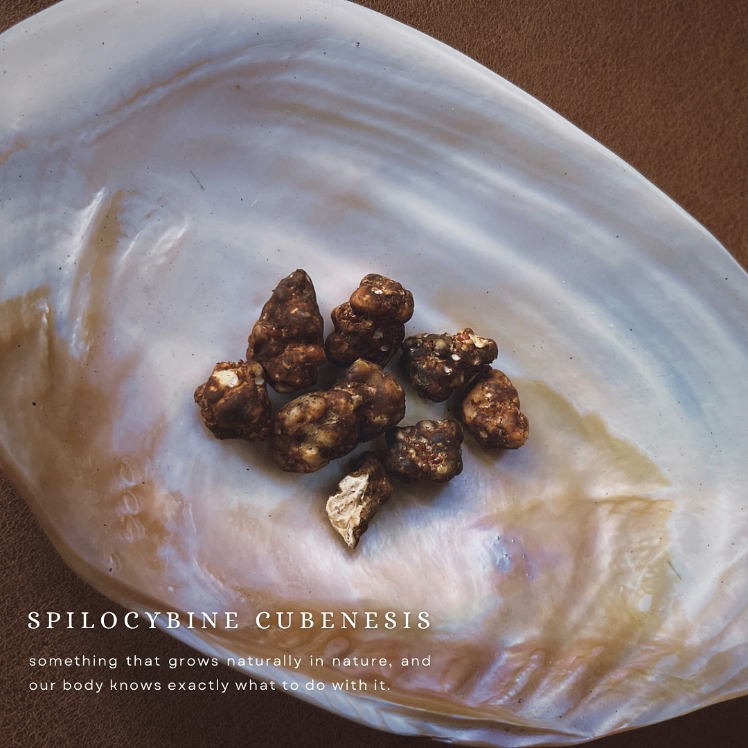 Isn’t it crazy?
How truffles just pop up from the earth and our bodies know exactly what to do with them. It’s as if we’re made to experience their magic, connecting us closer to nature, trying to tell us something.. in a way we all don’t know but all understand.
SL