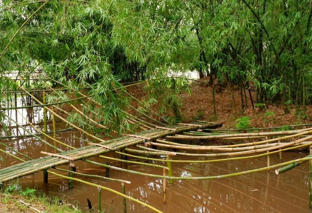 Congratulations to our DAS 2014 artist Asim Waqif on receiving the first Asia Arts Pathbreaker Award 2024 at the Asia Arts Game Changer Awards India, during the India Art Fair. A new category: which honours a groundbreaking established artist or collective, breaking boundaries and setting new standards for contemporary art emerging from India. Our Co-founder Nadia Samdani MBE is a committee member of Advisory Council of the Asia Society. Asim is concurrently working on a project called 'Bamsera Bamsi, turning a living forest into a musical instrument, with the work spanning over 20 years at Srihatta, the Samdani Art Center, and Sculpture Park in Sylhet.
Asim Waqif is a contemporary artist from India who has consistently experimented with standard conventions of medium, geography or discipline in recent years in their artistic practice. His projects intertwine architecture, art, and design, drawing inspiration from urban planning and igniting discourse on the socio-political dynamics of utilizing and inhabiting public spaces.
@dhakaartsummit
@nadiasamdani
@rajeebsamdani
@dhakadiana
@rux_q
@indiaartfair
@asimwaqif
@swilin_haque
@sazzad1985
@iftekharnoor
#dhakaartsummit #samdaniartfoundation #dhaka #art #artwork #DAS #exhibitions #contemporaryart #asimwaqif #Srihatta #asiaartsgame #indiaartfair