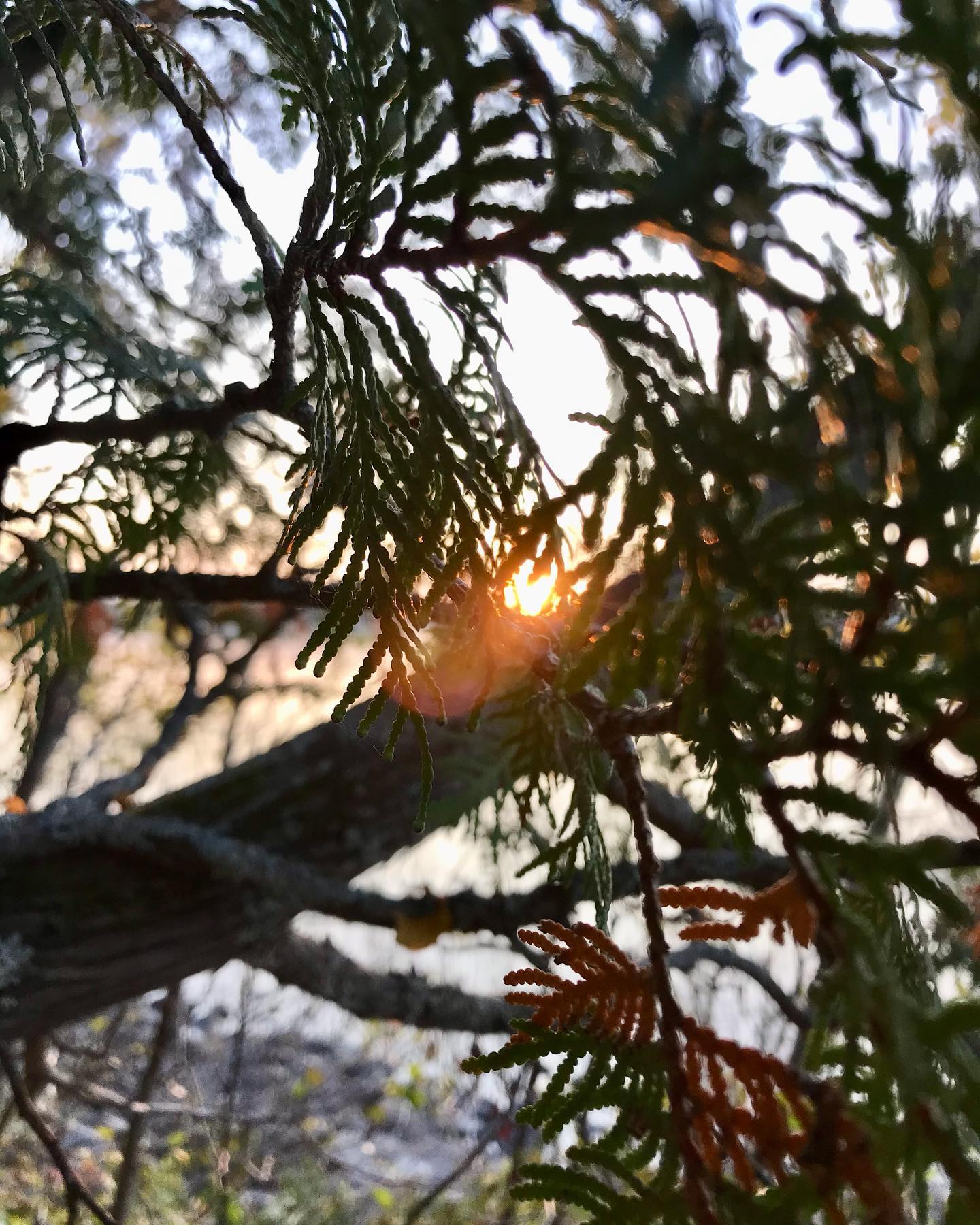 #poesieressac
Mon dernier texte publié sur le blog Poésie-Ressac 🌊🌊
— Pour en finir avec le firmament —
« si notre ombre meure à l’est
de quel côté se trouve notre étoile
il n’y a jamais de petite fin
que des naufrages quotidiens »
Une suite en 3 temps
3 actes poétiques
3 espaces, 3 visions
3 versions et autant de moi
3 courts récits qui m’observent
me découpent en 3 axes distincts
Le levant
Le zénith
Le couchant
3 points cardinaux
Et mon corps le nord
Ce point où tout gravite
Un texte à lire dès maintenant sur:
poesie-ressac.com
👉🏼 LIEN EN BIO 🔗
Bonne lecture! 🤓
.
.
.
.
.
#poesie #ressac #poesiequebecoise #litterature #ecriture #litteraturequebecoise #poeme #poetry #writing #poèteencavale #PoesieNordique #pourenfiniraveclefirmament #blog