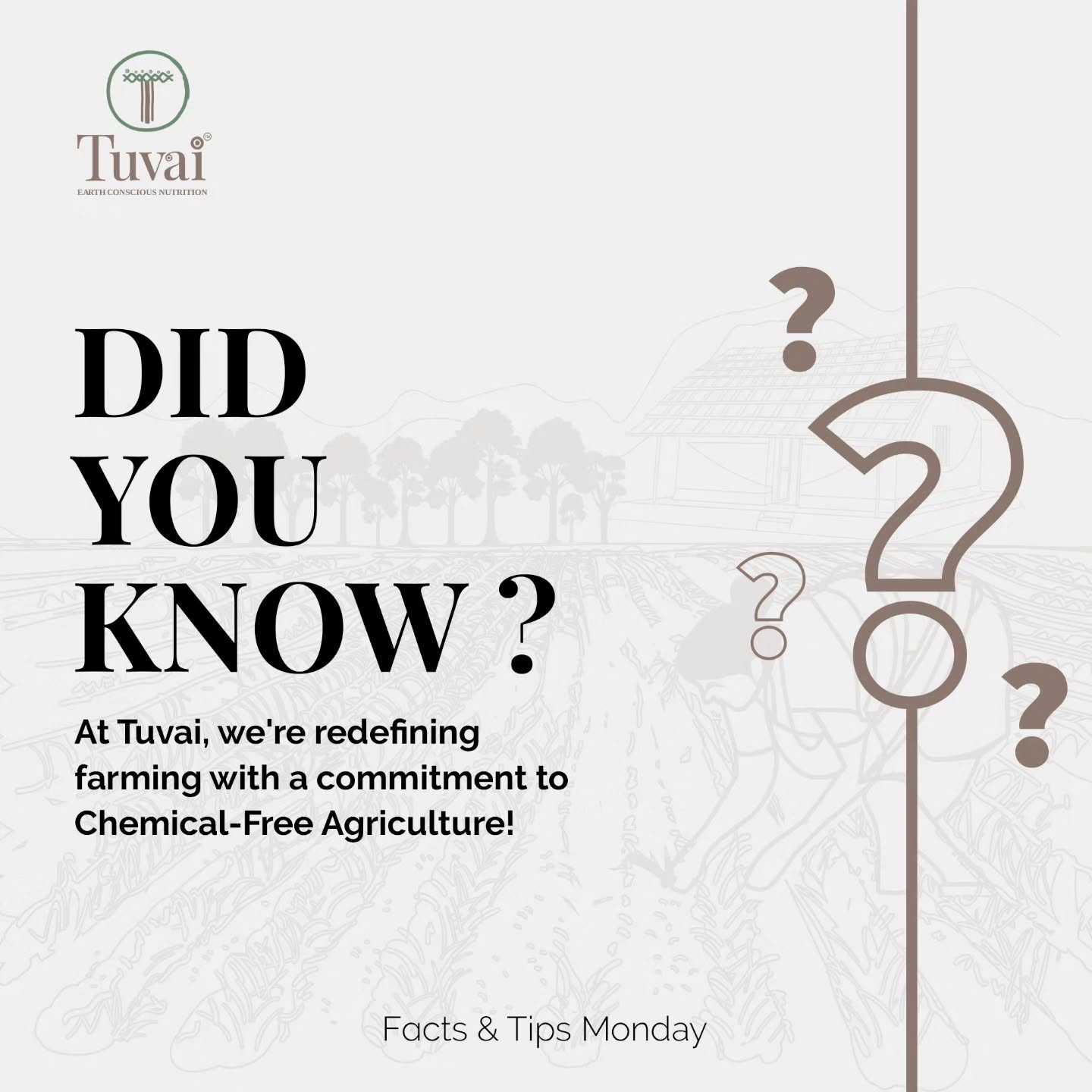 From soil to fertility in five months! A journey where nature's wisdom meets sustainable farming.
At the heart of Tuvai's mission is the rejuvenation of soil itself. It is scientifically proven that healthy soil produces healthy food, full of nutrition.
At @tuvainature we ensure that your food is nutrient-dense, because a vibrant you begin with what you choose to put on your plate.
Shop our premium natural products at www.tuvainature.com
-
-
#tuvainature #organicproduct #JharkhandPride #OrganicGoodness #farmerslife #indianfarmers #sustainbleagriculture #traditionalfarmingpractices