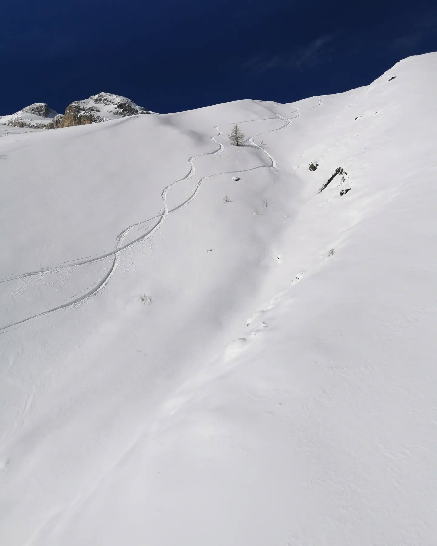 Premier jour de taf, déjà repos...
On va profitez des 50cm de puff