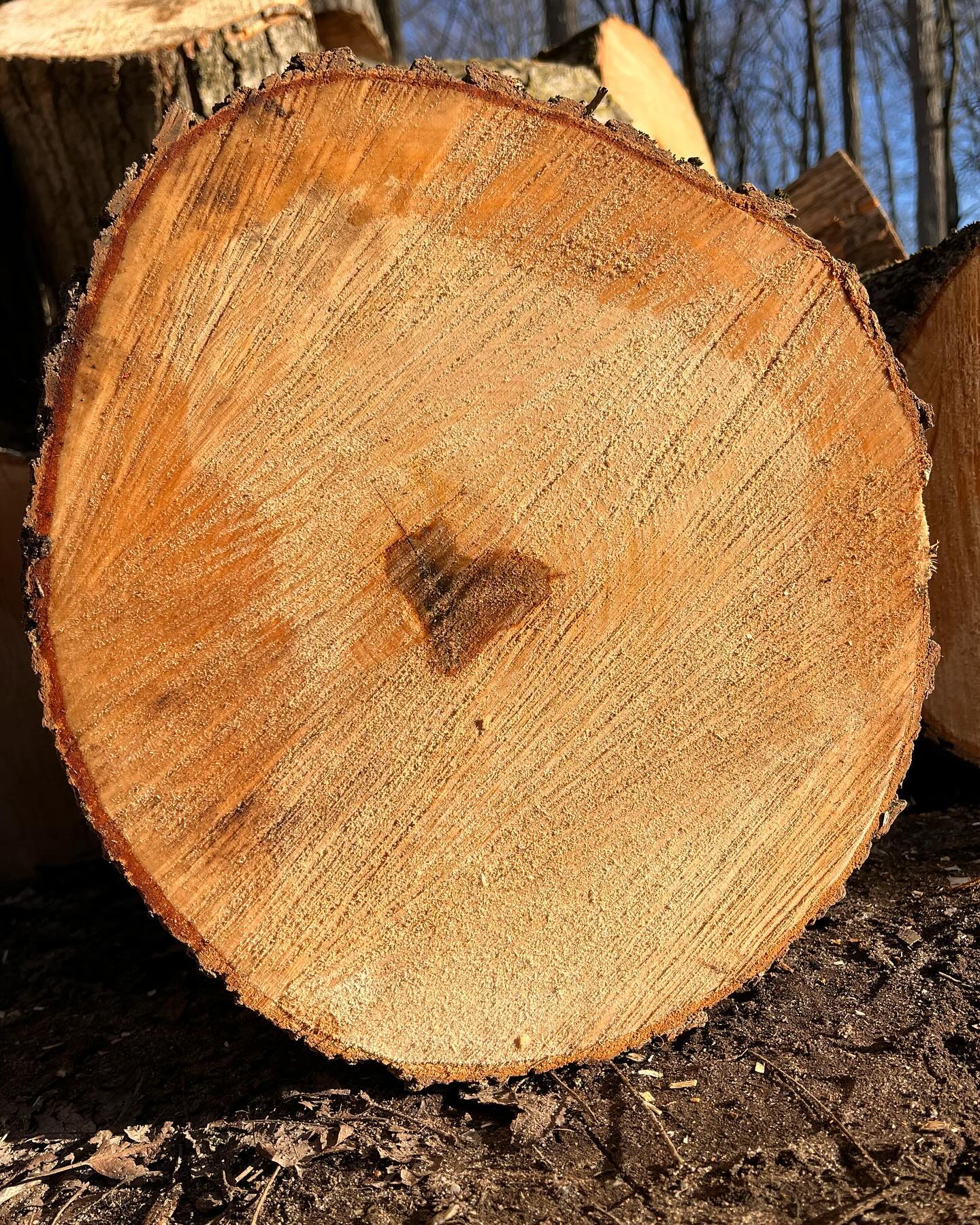 Happy Valentine’s Day! Found this hidden heart last weekend and just had to share ❤️