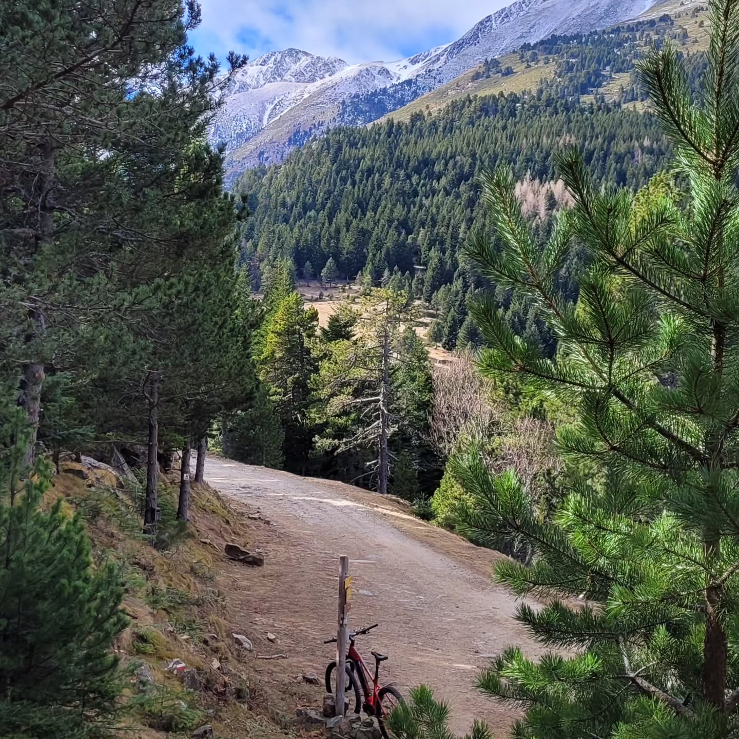 Ce matin balade vivifiante en VTT dans le massif du Canigou avant d'attaquer le salon des vignerons à STRASBOURG du 16 au 19 février.