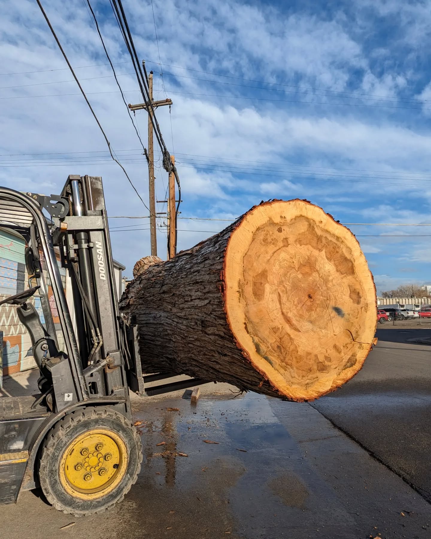 This sweetie got dropped off today...
Solid Silver Maple 40"-69" x120"
Looking forward to getting her on the mill and see what's doin'.
.
.
.
#Maple #log #reclaimed #sawmill #woodshop #denverwoodslabs