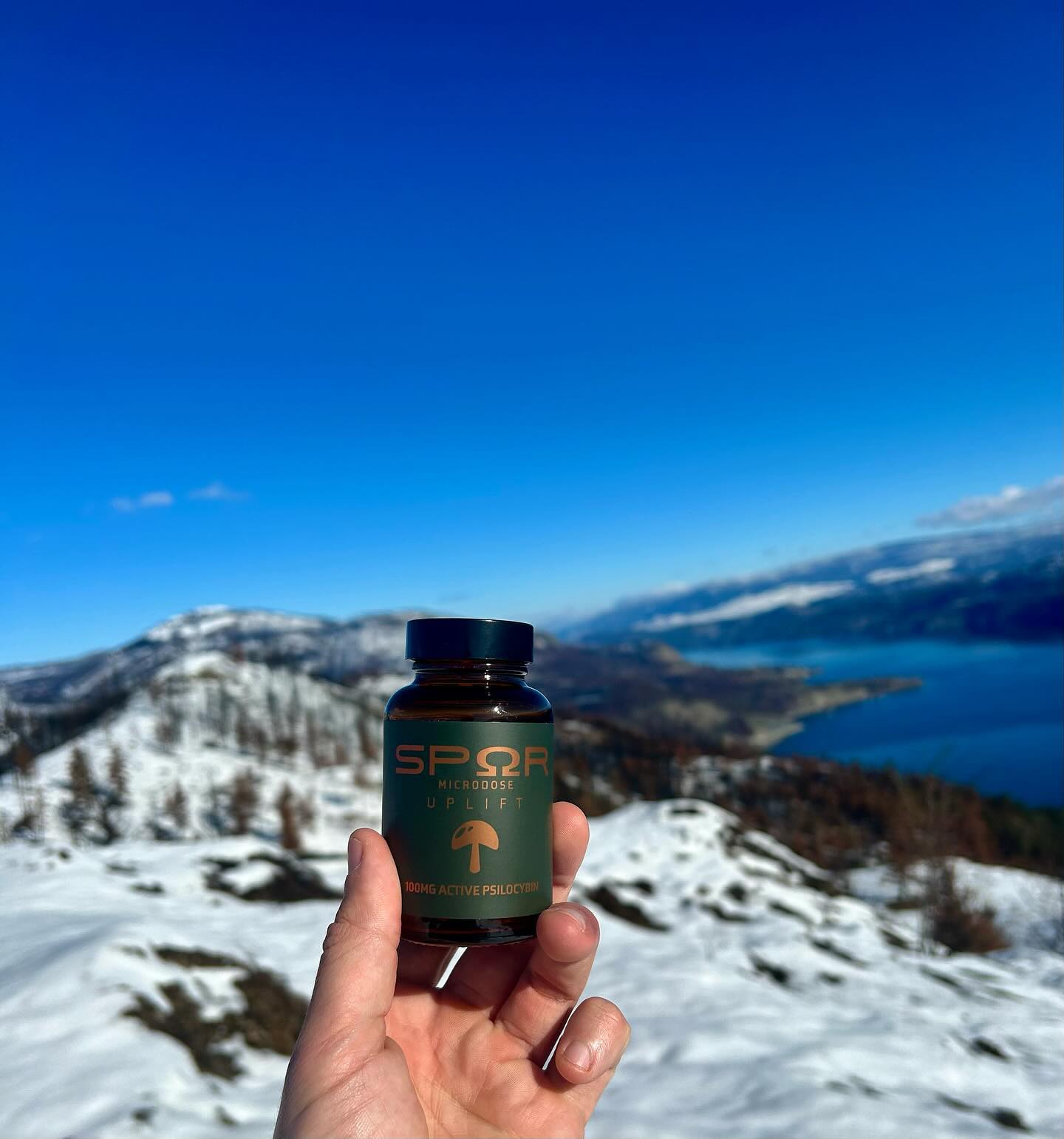 TGIF 🎉 Who’s ready to unwind and explore the great outdoors this long weekend?
#explore #unwind #sunshine