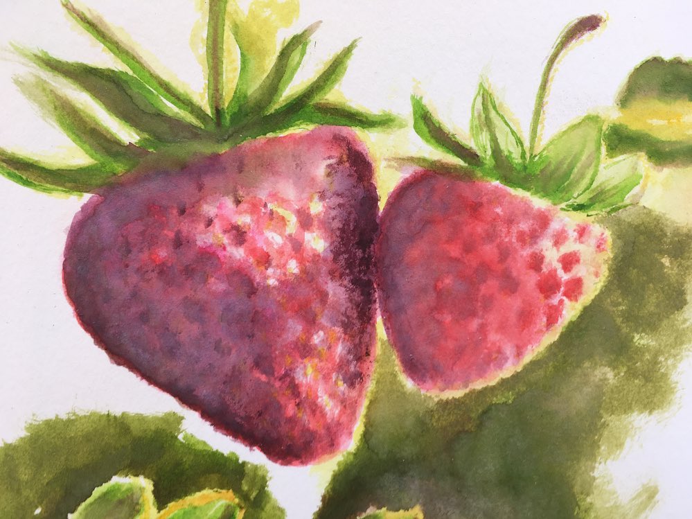 ECA challenge week 1 sharing of strawberry paintings by Berenika Lehrman. Location: Harlemville, New York, USA.
#ECAchallenge #strawberry #art