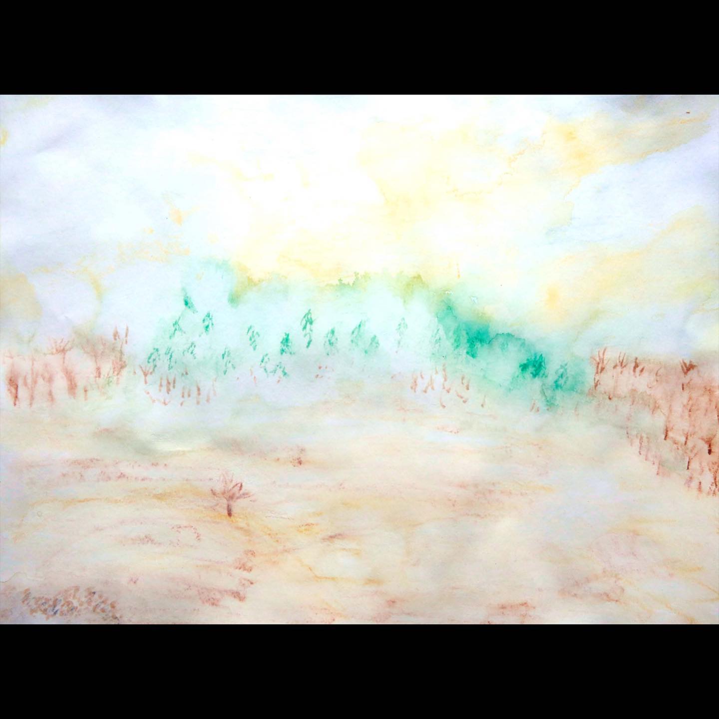 ECA challenge week 1 (Local Consciousness) excerpts from reflections by Zuri Burns. Location: Kettle Moraine State Forest, Eagle, Wisconsin, USA. #ECAchallenge #kettlemoraine #exploring #naturewalk