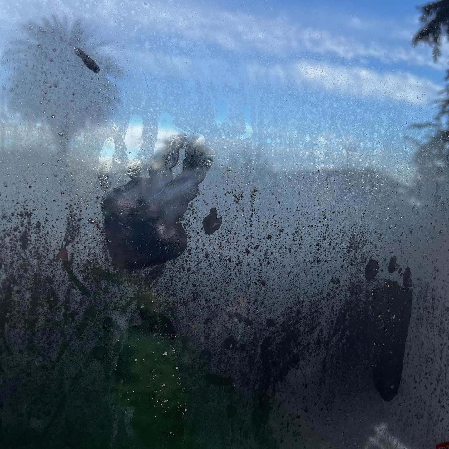 This past month has been a doozy. So many days I have decided, or sometimes forced, to start over and begin again. So if you need it, here is your reminder to start over and begin again ✨
Moments, hours, days, weeks, are not guaranteed. What you chose to believe can play a huge role in how you show up and move forward. Today I believe in love and practice gratitude. I might not aways but today I do 🌈