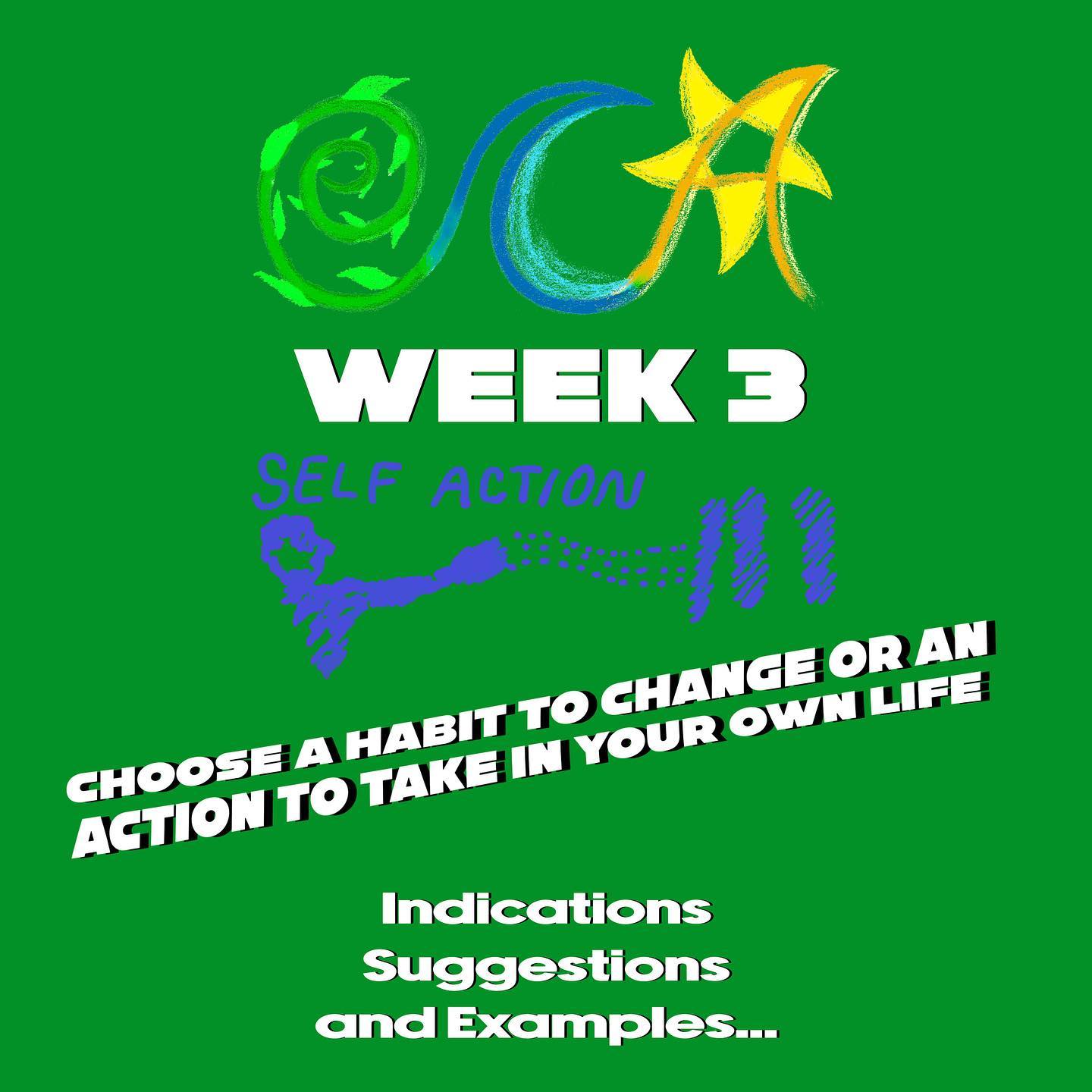 WEEK 3: SELF ACTION
Indications, Suggestions, and Examples...
