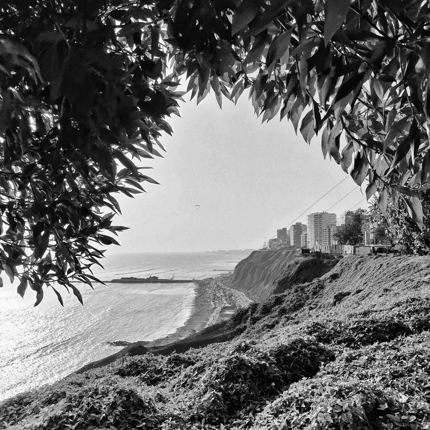 Lima, Peru, 2023
For six weeks I swapped the suffocating summer of London for the still-sweating winter of Lima; a green urban sprawl, gemmed with spray paint colour and ever-crowned in Pacific grey. I was grateful, the winner of a ticket into your life. Afternoons of fresh ceviche and chicha morada, cool evenings of emoliente and Oxxo snacks. You were always the highlight. Those moments you never catch on camera; the tripping up steps in Barranco, hunting for baños in Central, the late night movies with whiskey. Two pulses in sync, wishing this was a normal that could live forever.
•
•
•
•
•
#writersofinstagram #amwriting #writerscommunity #bookish #travelphotography #wanderlust #traveldiaries #bibliophile #bw #blackandwhitephotography #limaperu #lima