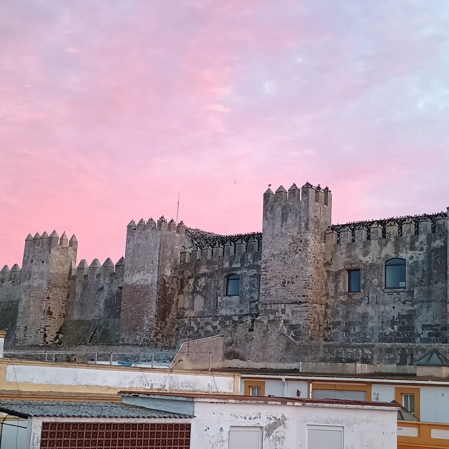 One of those classic Tarifa sunsets from High Flyers Kite House roof terrace this evening.
#tarifa #kitehouse #sunset
