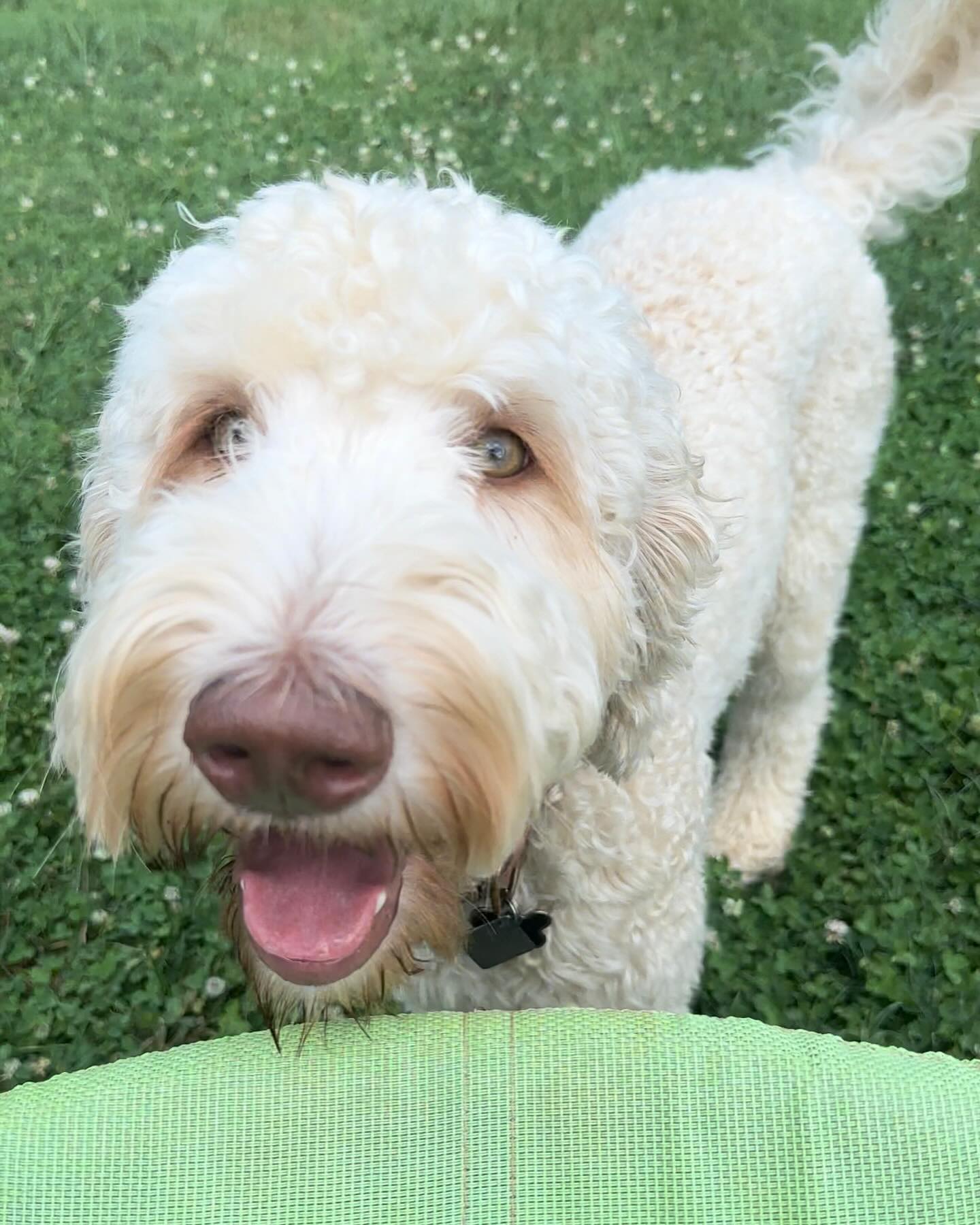 Ollie, our Guest Contribution Manager, is looking for guest writers! Have your own health journey that you would like to share? Reach out to us now!