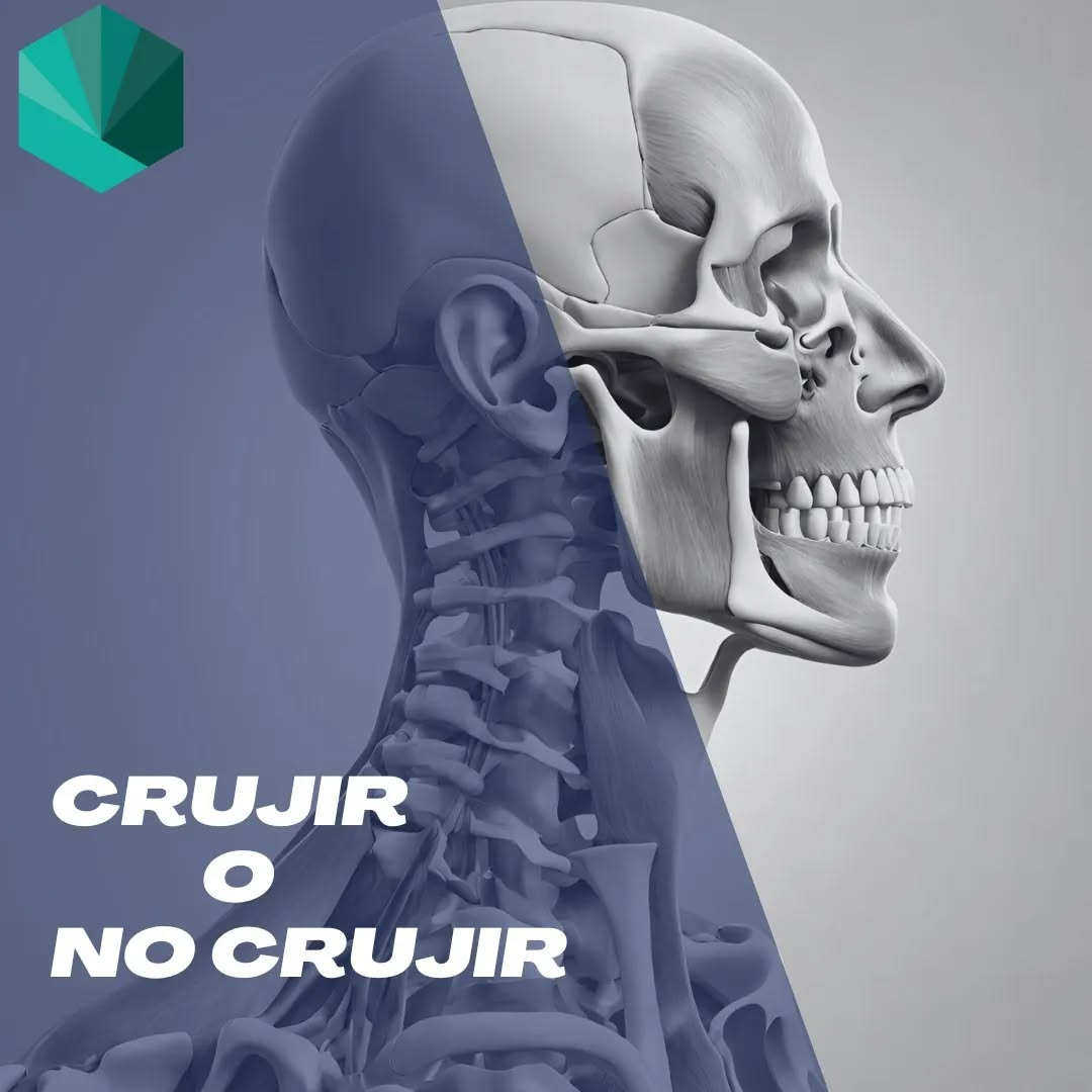 💥CRACK! Hoy subimos este post para intentar dar respuesta a una pregunta que nos hacéis mucho en la clínica.
🤷🏼♂️ ¿Que pasa cuando crujimos alguna parte del cuerpo?
🧑🏻⚕️Es muy común ver a gente que se cruje el cuello, las manos, las lumbares e incluso los tobillos. Y es que esto se debe a que en nuestras articulaciones hay un líquido que tiende a generar gases, los cuales liberamos al realizar los movimientos de crujir, a esto se le llama Cavitación. Sería como los gases que se liberan al abrir un refresco.
💥Esto quiere decir que al manipular el ruido que se genera es propio de la cavitación, por lo que no se produce ningún cambio en el posicionamiento articular.
🤕 Se ha demostrado que la manipulación si que induce a la analgesia a través del estímulo de los mecanorreceptores de las articulaciones. E incluso las creencias que se han generado a través del tiempo han provocado una asociación inconsciente de crujido = alivio, haciendo que el efecto neurofisiológico sea aun más potente.
❓Por último ante la pregunta de si es malo crujirse. La respuesta es que no deberías ser malo, porque como dijimos previamente la cavitación es la liberación de gases. Eso sí, como con todo, su práctica en exceso puede afectar a largo plazo la integridad de los diferentes componentes de la articulación.
💚 Si tienes dolor al realizar los crujidos acude a un profesional sanitario especializado. El ValTem estaremos encantados de ayudarte!