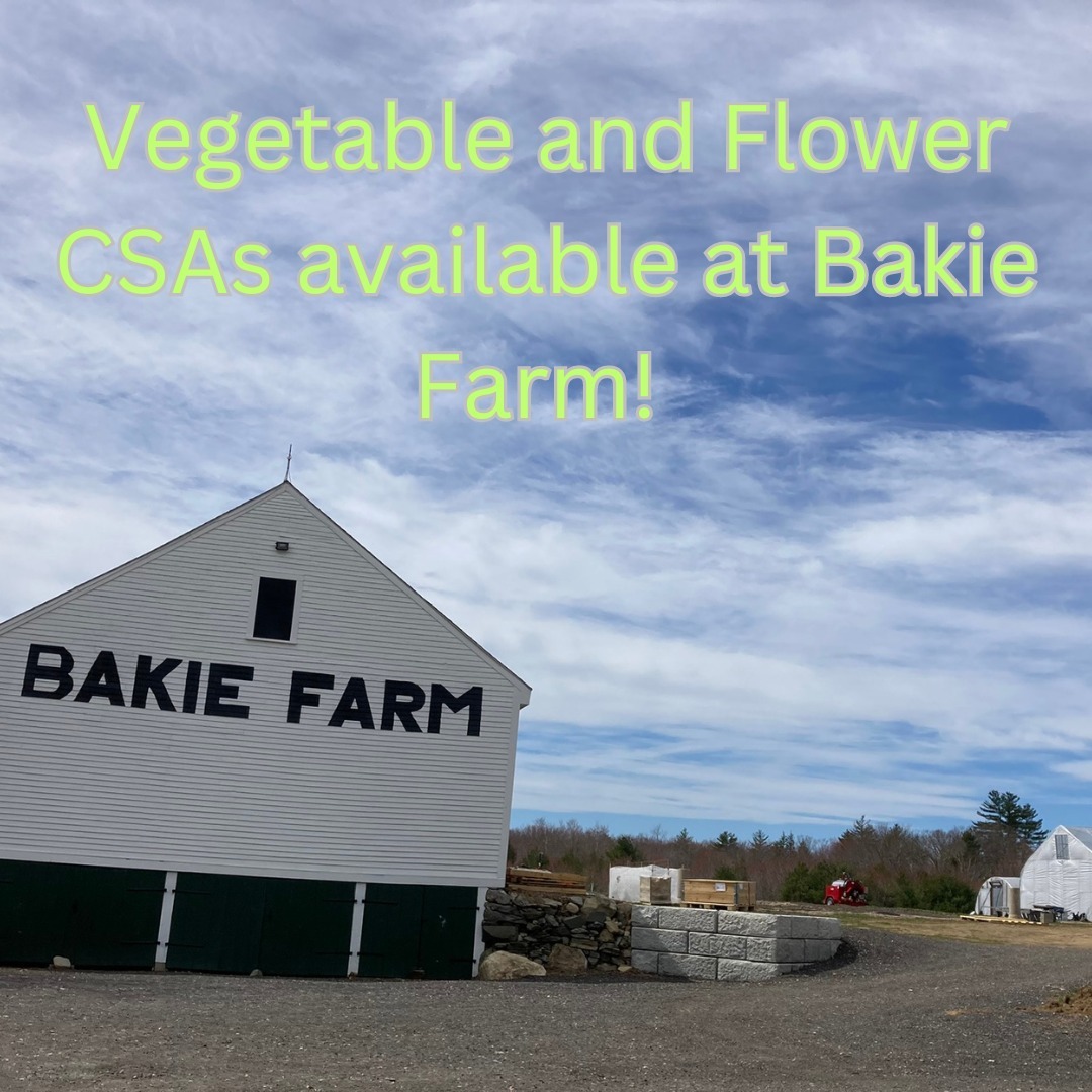 We are getting ready for another growing season at Bakie Farm on Powwow River Road in Kingston!
There are three different farm operations that currently grow at Bakie Farm and we all have ways that you can buy our vegetables and flowers right at the farm!
We are currently selling Community Supported Agriculture (CSA) subscriptions for vegetables and flowers. This is a great way to get the freshest, highest quality vegetables and flowers for your family.
Wild Fern Farm Veggie Box CSA
A weekly supply of prepacked certified organic vegetables for 18 weeks, June- September.
Weekly pickups Thursdays 2pm-6pm at Bakie Farm or the East Kingston, NH Library
***Monthly payment plans available
More information at https://www.wildfernfarmnh.com/veggie-box-csa
Hungry Heart Farm Summer Flower CSA
A weekly supply of beautifully arranged bouquets using our locally-grown, field cut blooms. We grow over 40 varieties and colors ensuring a unique design every week.
Weekly Pickup July-August at Bakie Farm all day on Thursdays. Local delivery available for an extra fee.
$180 for 8 weeks
Reserve your spot by emailing hungryheartfarmnh@gmail.com
@hungry_heart_farm @wild_fern_farm_nh #kingstonnh #eastkingstonnh #eastkingstonpubliclibrary