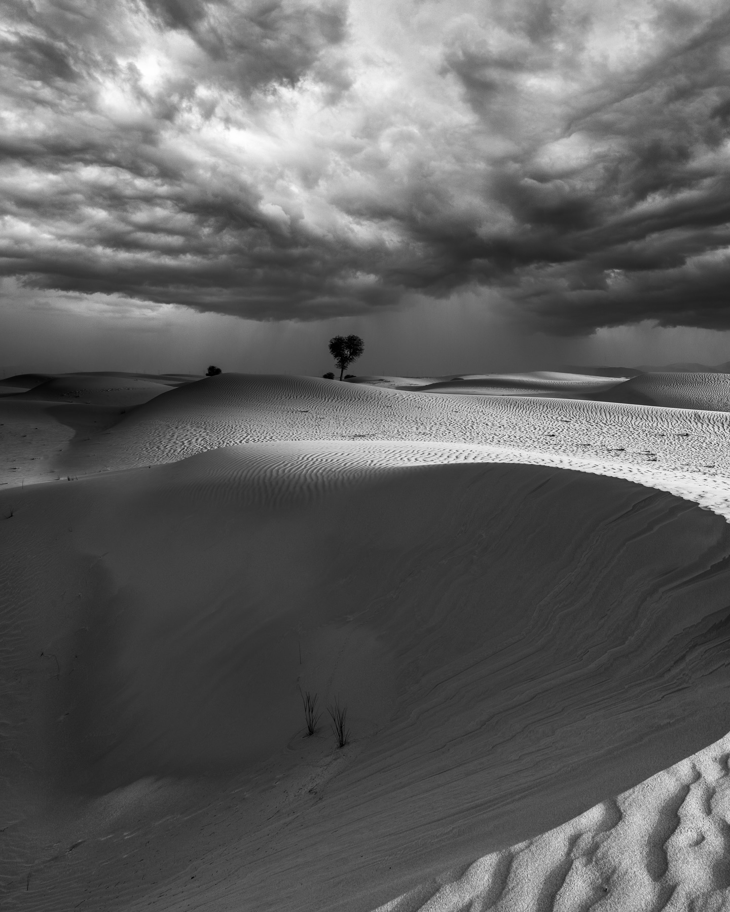 D E S E R T S T O R M
.
. .
. . .
. . . .
#dubai #lovingdubai #unitedarabemirates #desert #lonetree #visitdubai #storm #stormclouds #destinationearth #destinationdubai #desertlife #mastershots #lifeofadventure #bns_nature #sony #sonyphotography #onceinalifetime #womencapturemagic #raw_seasons #your_outdooradventures #travelphotography #nomad #nomadlife #earthofficial #adventure #clouds #darksky #lonetree #lonetraveller