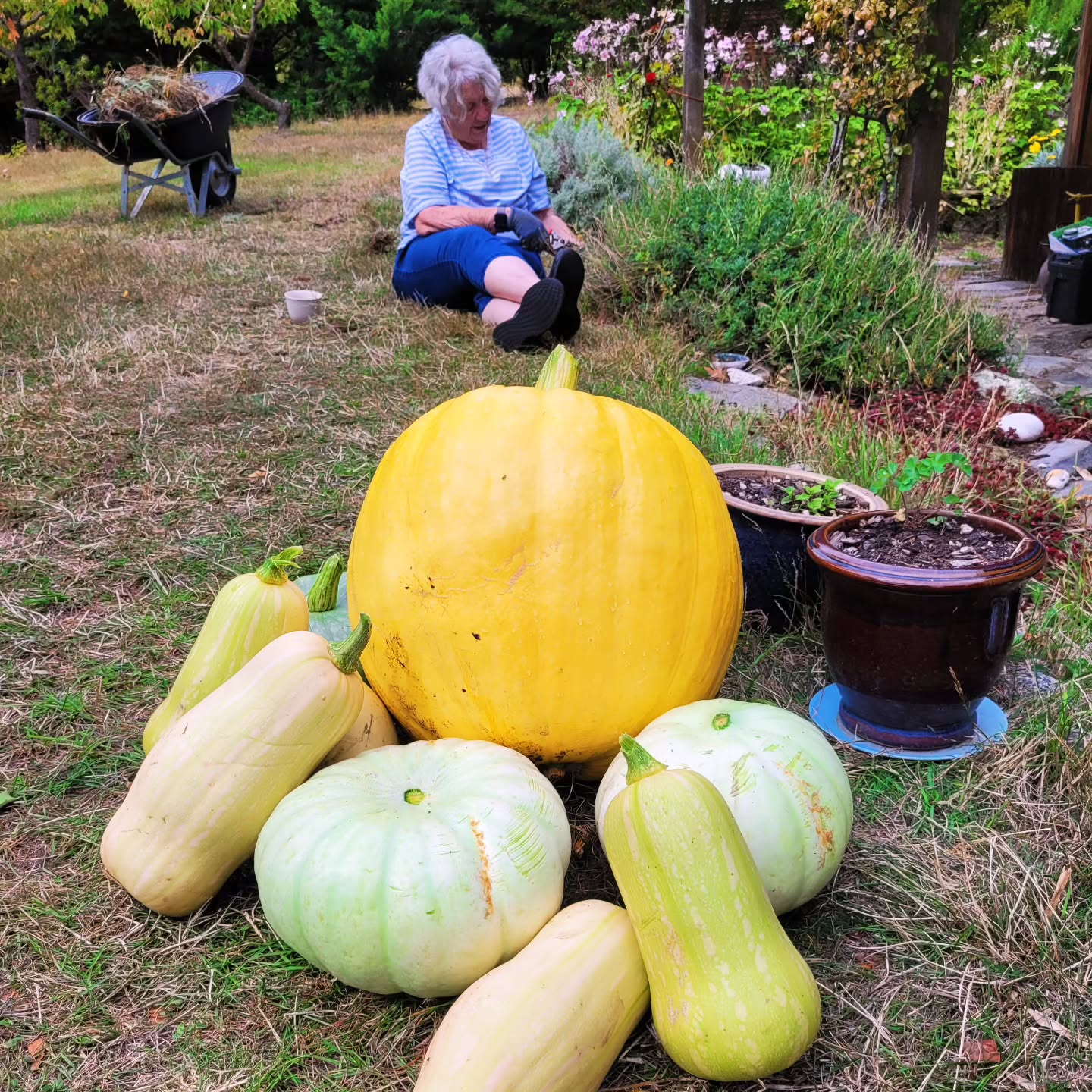 The bounty of our autumn harvest begins, thanks to Amanda's expertise in the garden. We'll be using that big ibe for a jack'o lantern! Amanda's mother helps keep our front garden a bit more tidy!
,
,
,
@purenewzealand #newzealand #wanaka #lovewanaka @wanaka #mountainspirit #meditation #retreats #yinyoga #experientialeducation #Pumpkins