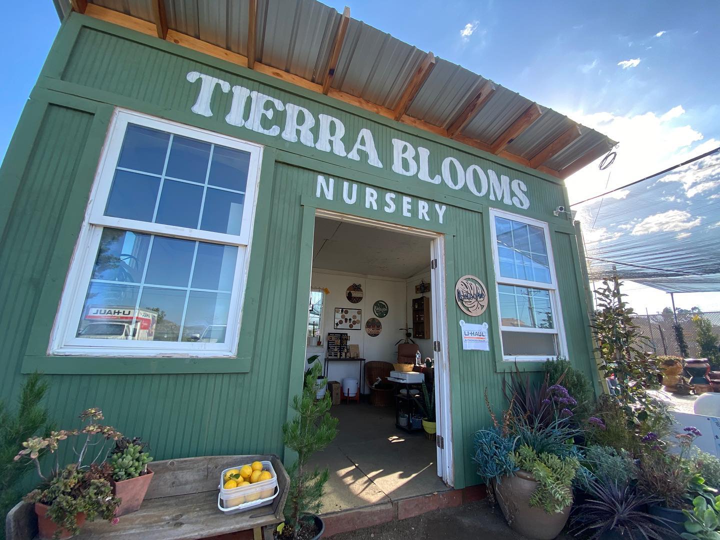๐จ We have some very exciting news for our friends in the Menifee area! Head on over to our newest retail partner store at @tierrabloomsnursery ๐ฑ Shop their handcrafted collection of local artwork as well as our wonderful selection of California native plants, specific for the Inland Empire.. all while enjoying the view of snowy San Jacinto Mountain ๐ Be sure to stop by and their amazing staff will make sure you find exactly what youโre looking for! We canโt wait to see you there ๐ By the way.. itโs still a great time to get your natives in the ground with more forecasted rains on the way ๐ ๐ง