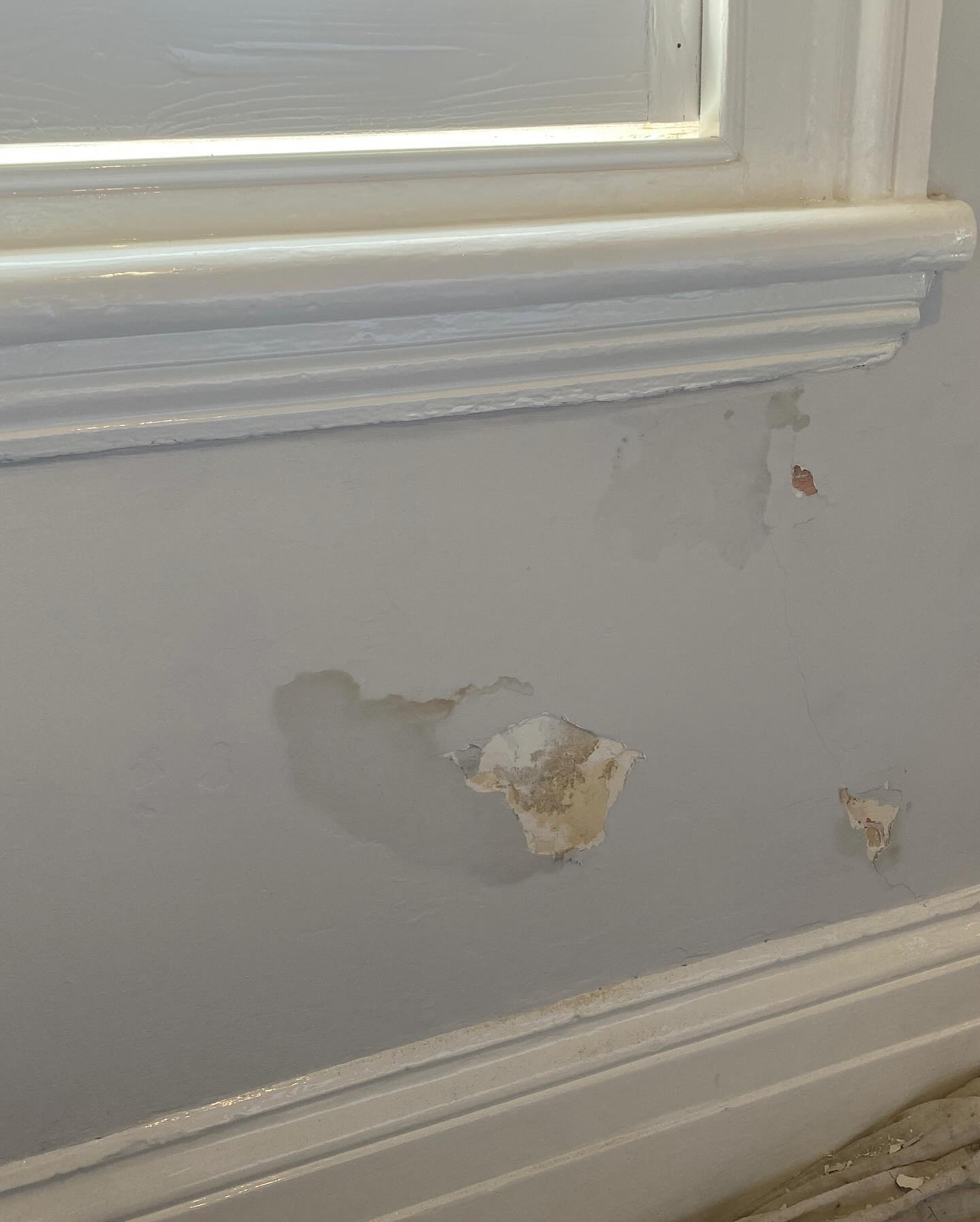 Damp, Damaged, Stained Walls?
This Victorian flat in central Hove had some damp issues with plaster falling off the walls.
I first dug out all the affected areas and then treated with a couple of coats of waterproof sealant.
I then filled the deeper holes and finished off with a thin plaster skim. A quick sand back, before treating with a waterproof/stain resistant primer paint and then a couple of top coats of paint.
#thehovehandyman #hovehandyman #brightonhandyman #damp #dampwalls #stainedwalls #damagedwalls #restore #fix #paint #waterproof #victorian #hove