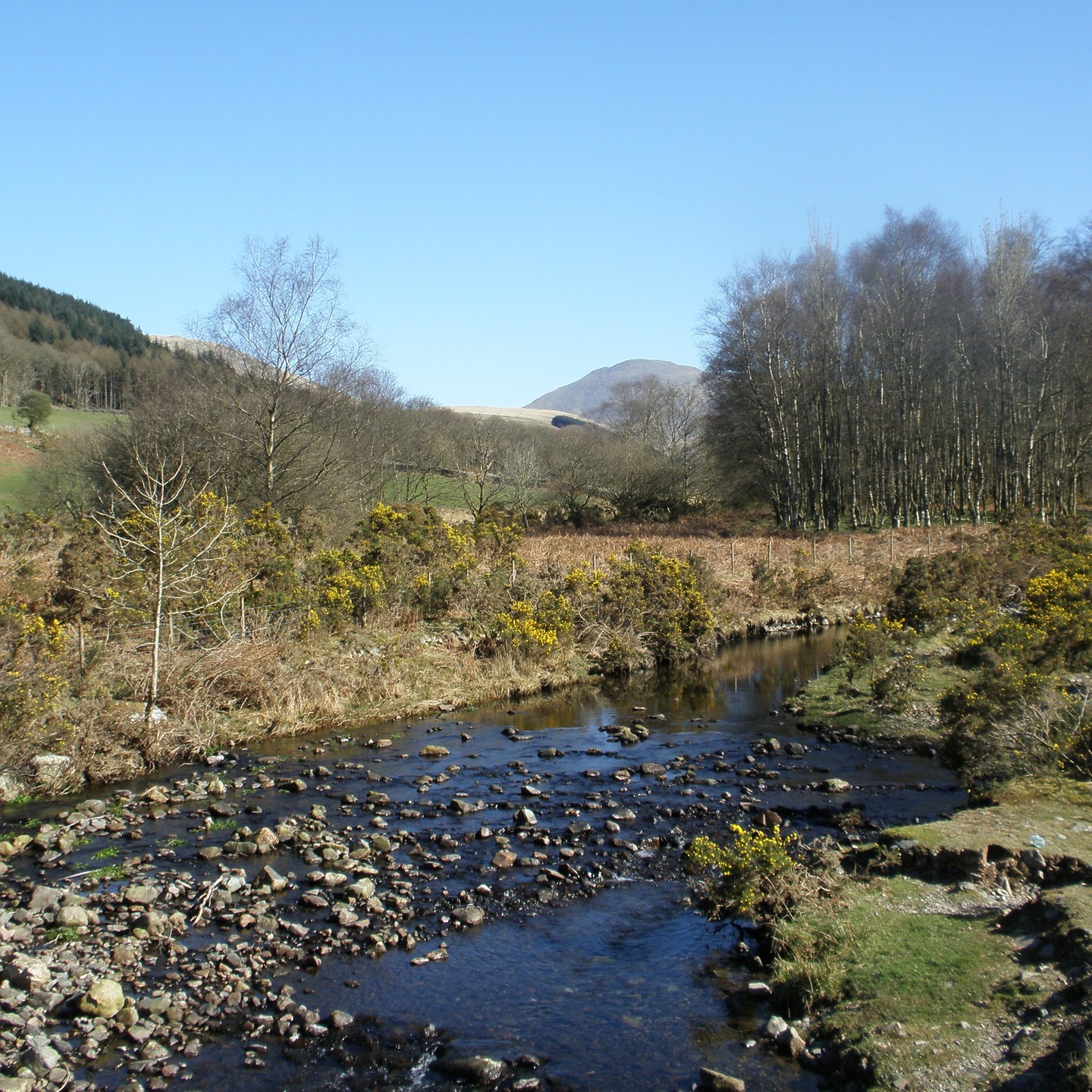 Mitredale looking towards Sca Fell