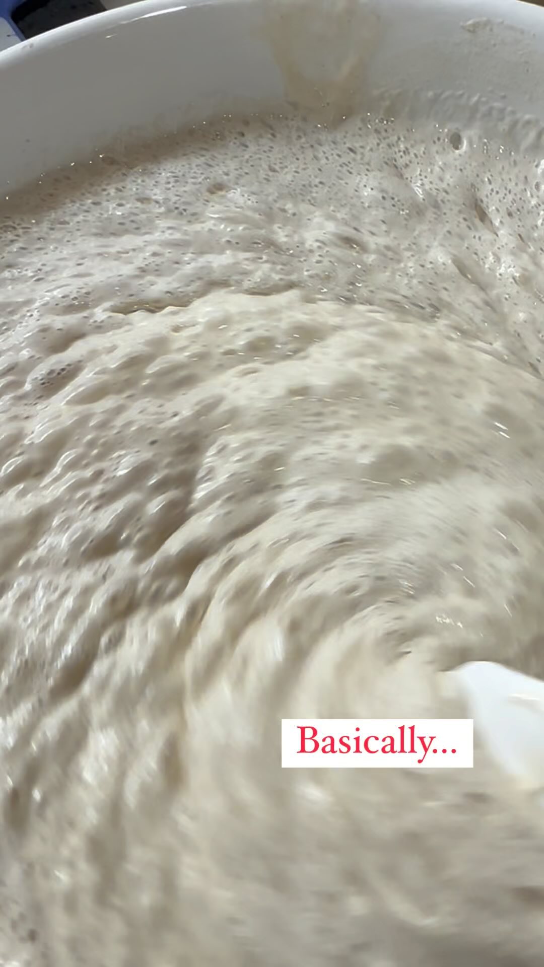 Not me out here baking a sourdough to try and fix my 155,683,628.92 problems.
Something’s cooking so stay tuned to hear about how you too can fix your problems. I got you! 😉
#sourdough #starter #bubbles #wildyeast