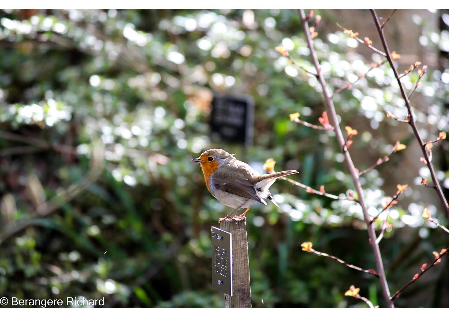 Nature is waking up 🙏