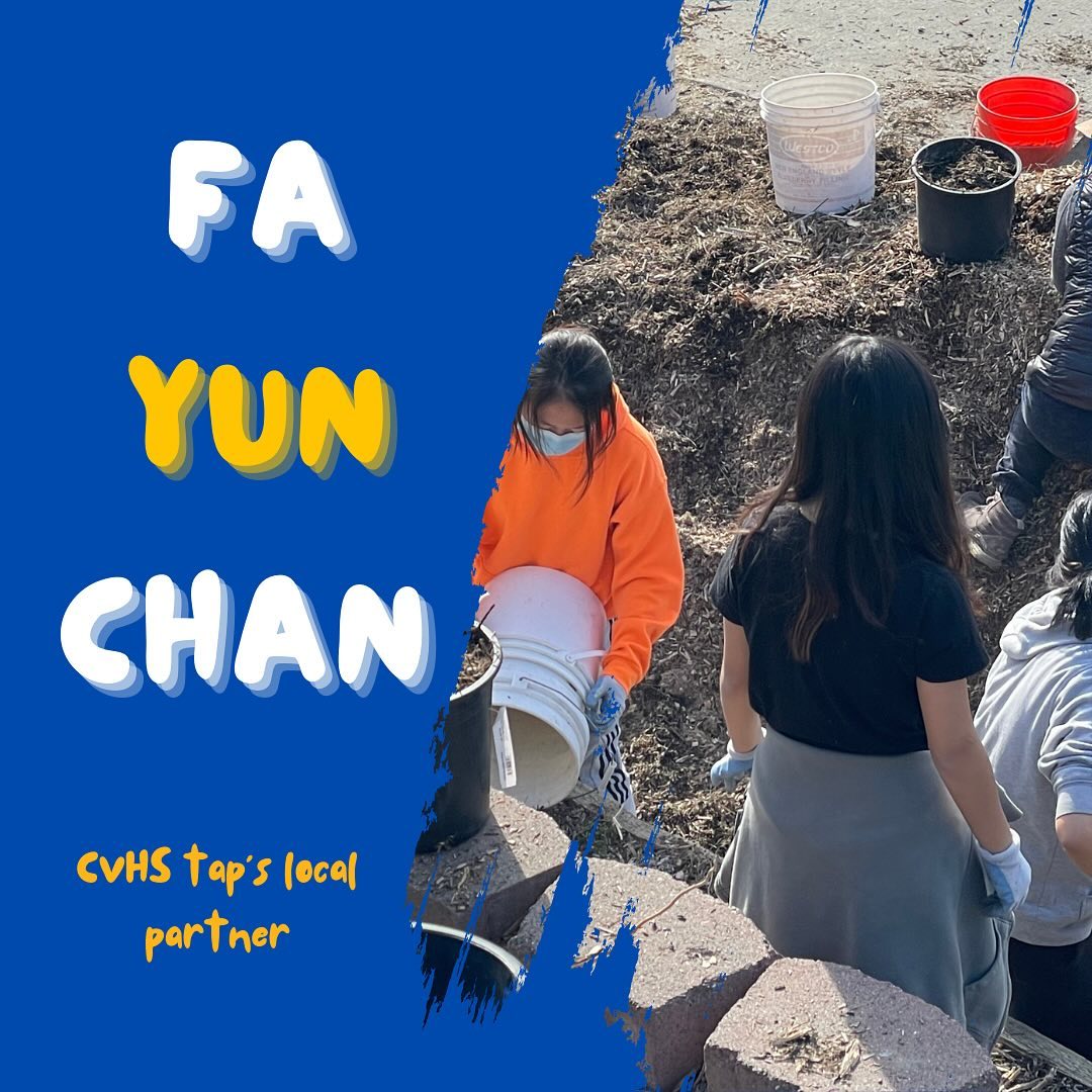 🎉 Introducing CVHS tap’s local partner - Fa Yun Chan 🎉