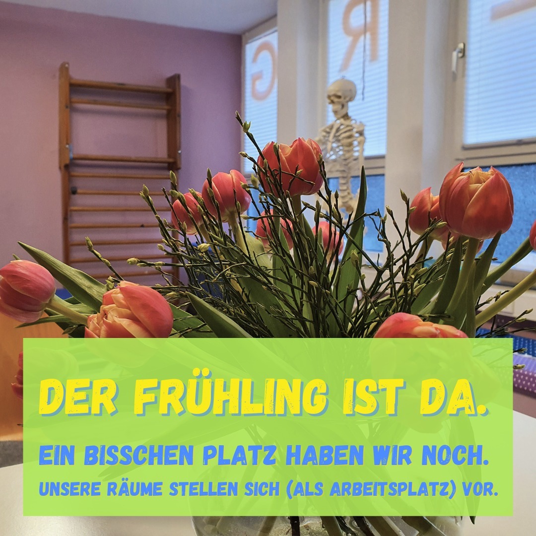 Der Lila Raum.
Unser großer Raum für Handtherapie, Neurologie und Schmerztherapie.
Auch das ein möglicher Arbeitsplatz für dich?
Noch suchen wir.
Entweder Teilzeit mit Schwerpunkt Neurologie und Geriatrie.
Oder Teilzeit mit Schwerpunkt Pädiatrie.
Oder Teilzeit bzw. Vollzeit mit den gesamten bunten Behandlungsmöglichkeiten einer Praxis - der bunte Mix aus Pädiatrie, Neurologie, Geriatrie, Handtherapie, Psychiatrie und so weiter.
#ergotherapie #therapieraum #ergotherapiestellenangebot #ergotherapiepraxis #ergotherapieinbochum