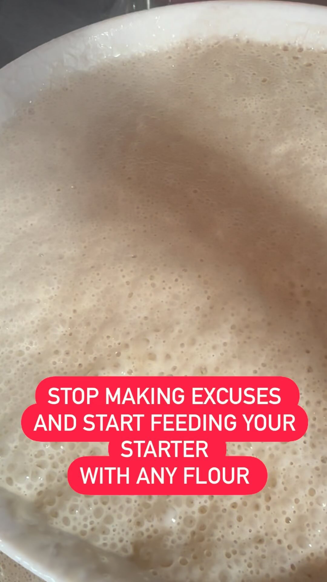 Seriously though!
Any flour will do it. You’ll hear people saying that rye flour is the most active or that whole grains do better, but the very truth is that you can change it up and your starter will still thrive.
All you gotta go is keep at it and your starter will be just fine!
I use white spelt flour for my starter in order to keep my spelt loaves 100% spelt and use it for my wheat loaves as well. So far so great!
If you needed a sign, this is your sign to go feed your starter. Happy baking!
#sourdough #sourdoughstarter #bubbles #bubbly #troubleshooting