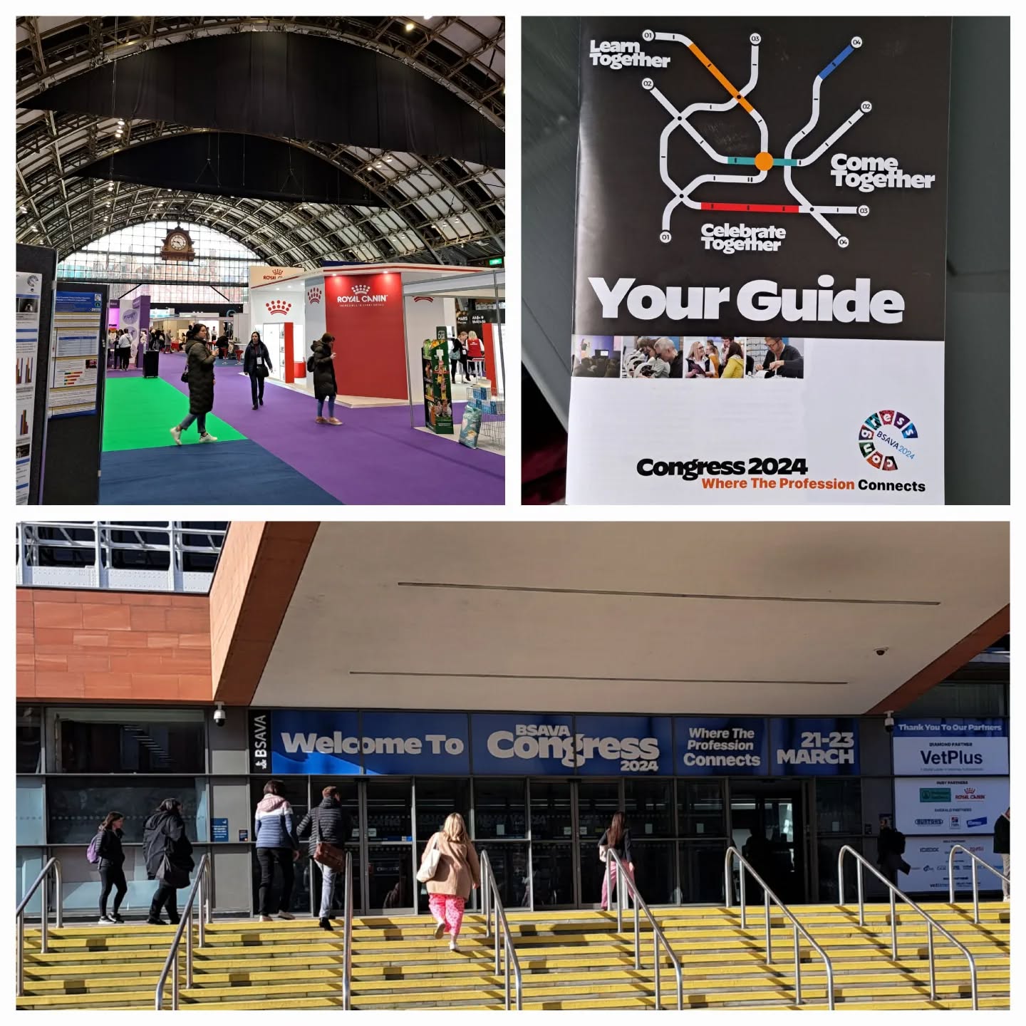 Great time away from the field in central Manchester, catching up with friends, chatting animal welfare, veterinary, mental wellbeing, and sustainability = many more ideas and planning.
#vetpol #bsavacongress #manchestercentralconventioncomplex