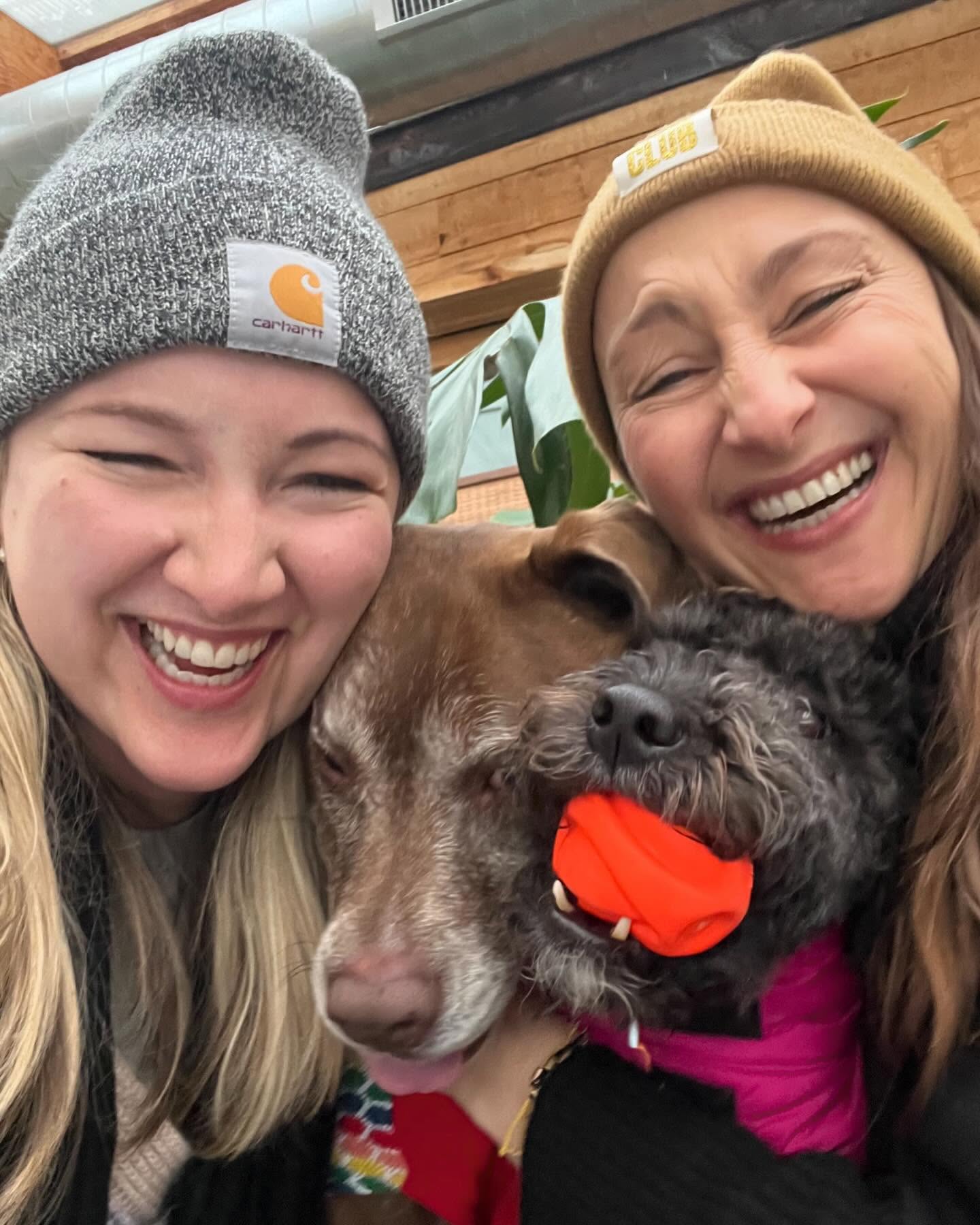 Having a fab weekend with our pals Upstate celebrating National Puppy Day!!
๐
โค๏ธ
๐พ
๐ถ
#nationalpuppyday #puppylove #dogsofinstagram #upstate #newyork #dowhatmakesyoursoulshine #friends #entrepreneurialsoul ๐ฆ