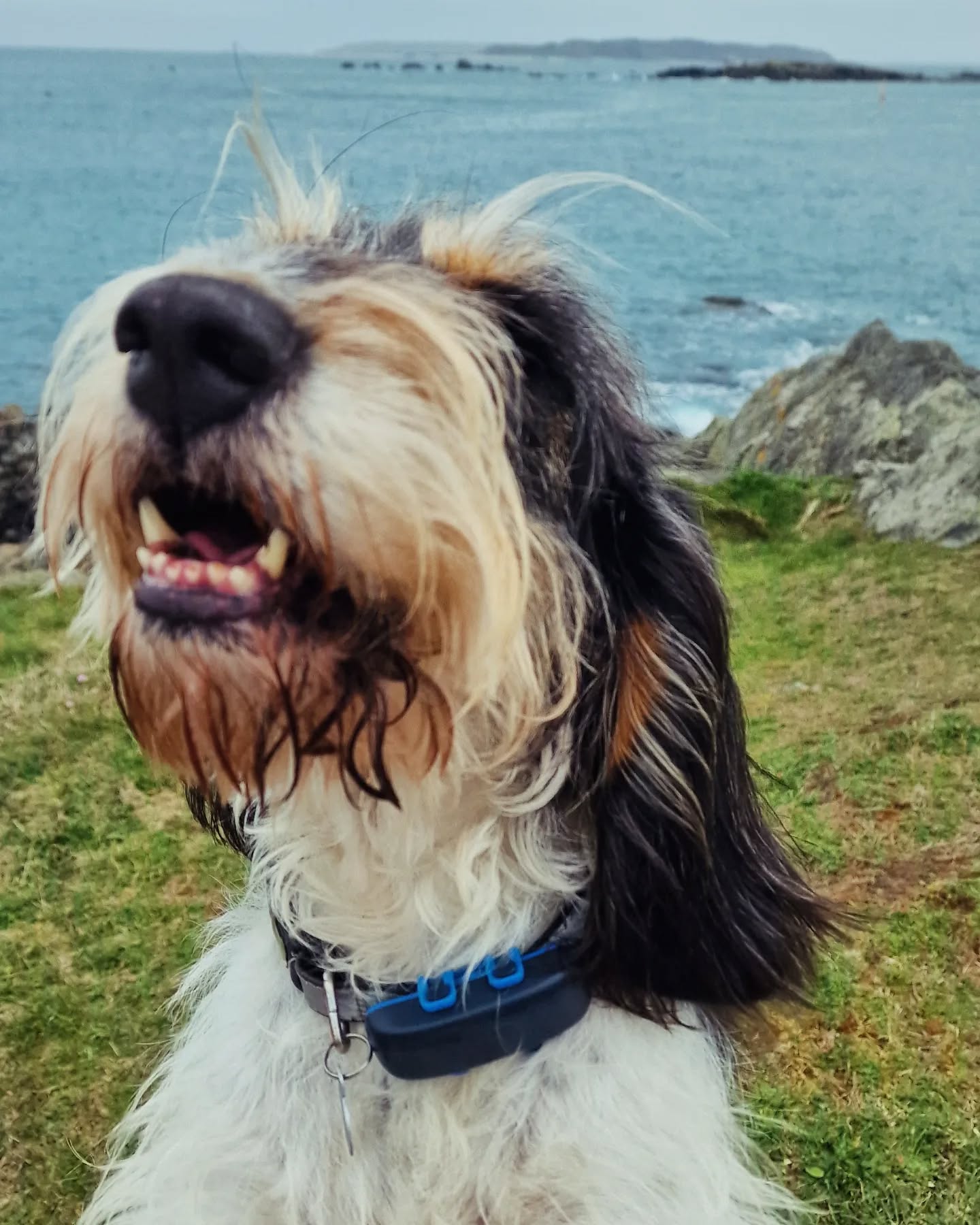 Griffi and his eyebrows are a gravitational wonder