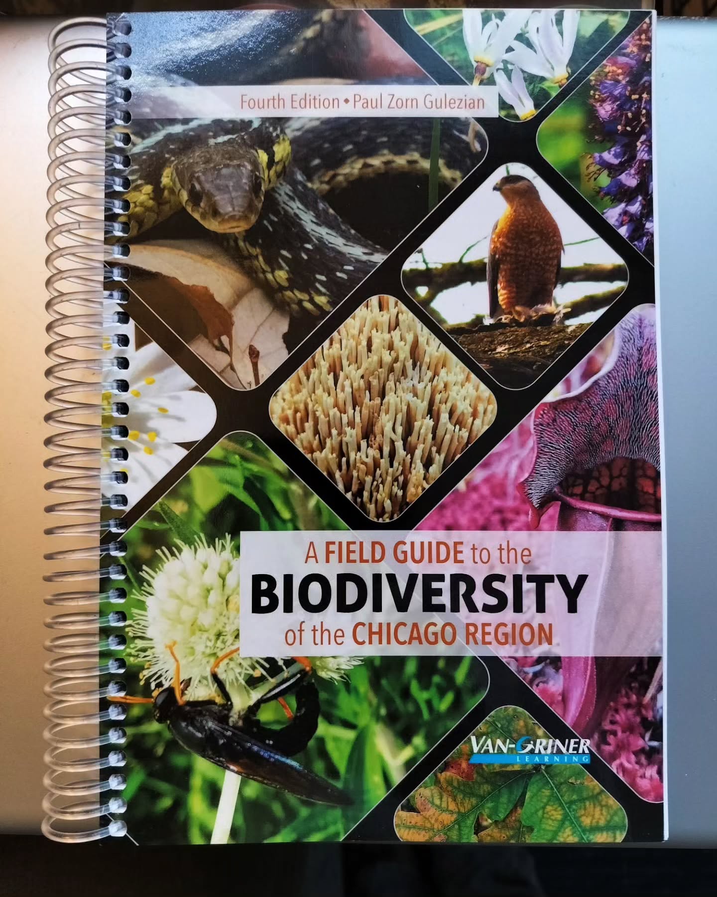 It never gets old to get that first copy of your book in your hand. Happy to share that the new fourth edition is now printed. From a new smaller-scale publisher that actually respects authors and isn't trying to squeeze everything in pursuit of digitizing everything onto a screen to maximize profit and growth. Link below! Peace, y'all.