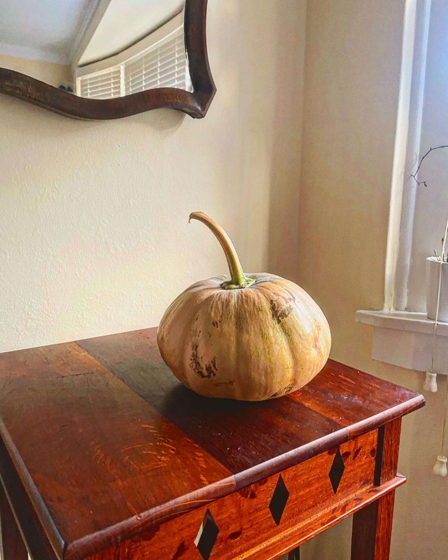 I honour this sack of goldness. when friends visit from the country or even suburbs with gardens ! Ask what to bring !! Bring food, preserves, excess bounty, any goodness you’ve spare. You’ve toiled and worked tendered and cared. It’s none cash. Like my open door and spare bed. Like the shared cuppa or wine deeply poured in your honour. Amber or clear, sparkling or cloudy it’s a drop to welcome you across the mat. Something grown or made from excess is a blessing beyond. Thanks to the gifts that pass my door and can be shared with others on gaily patterned dishes from a wooden dinning table (another made gift from excess and skill left over floor board ) . I honour this pumpkin, sat for moments, it’s gold concealed before becoming essential to last nights dinner. Nutritious and for-filling and to be honest, good honest organic veggies cost so much in the city, precious offerings to my table are truly like gold