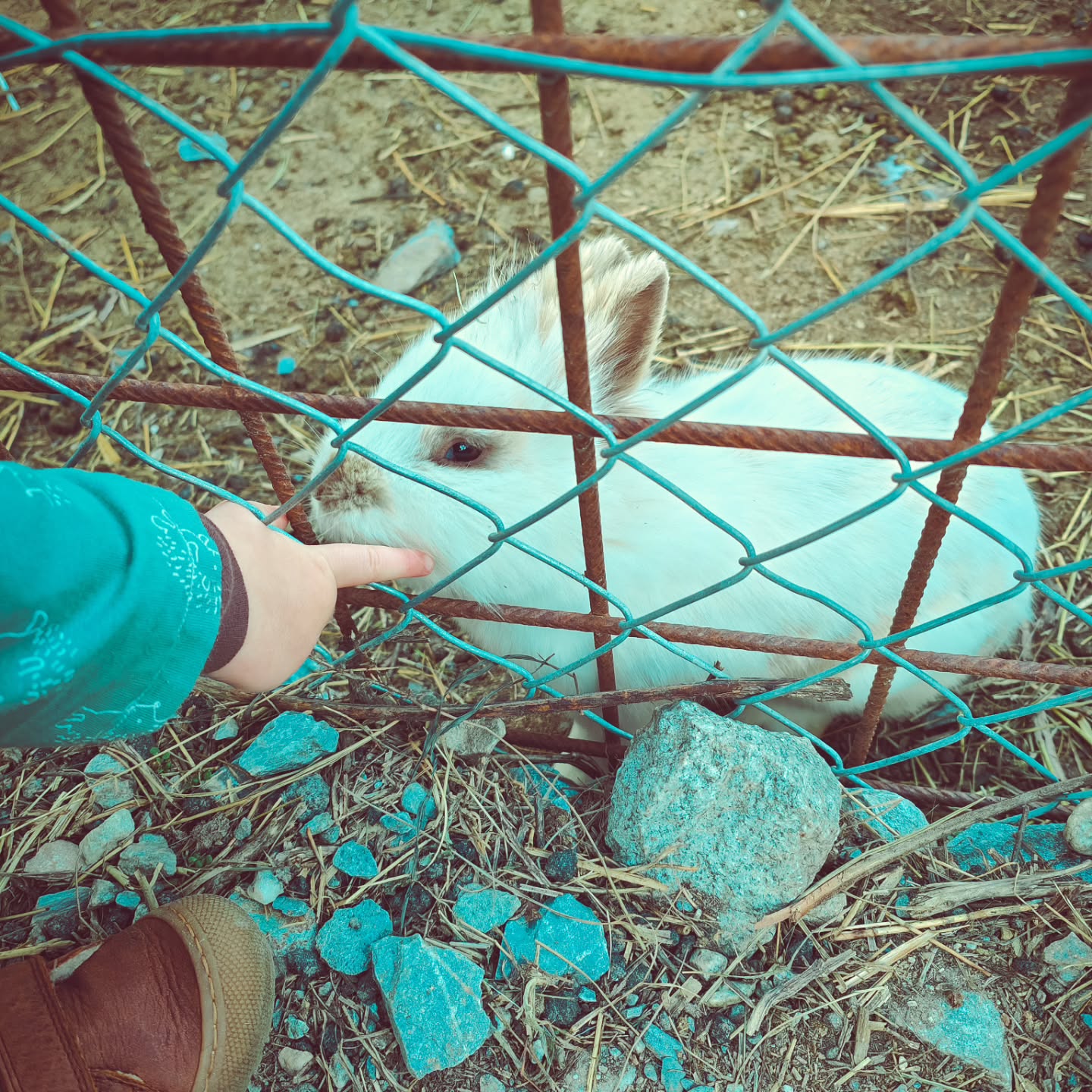 Frohe Ostern wünschen wir euch allen. Hattet ihr auch schon Besuch vom Osterhasen? 🐰
#brandeija #froheostern #happyeaster