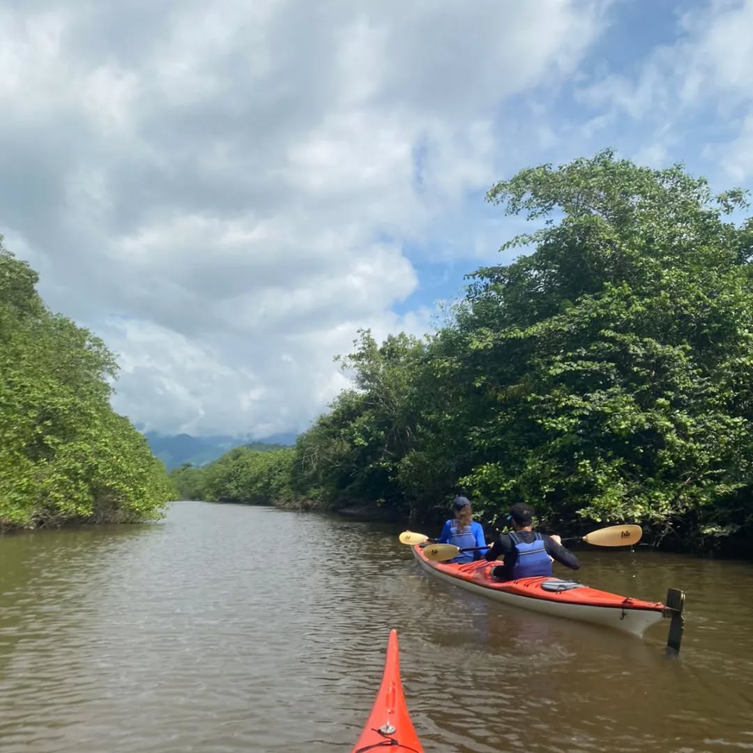 Sem Barulho, Sem Poluição com Diversão!!
#kayak #tour # passeios #natureza #mangue #manguezal #caiaque #caiaqueiros