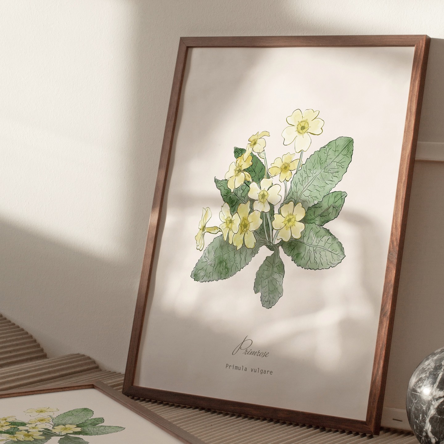 Primroses are connected to the Norse goddess Freya, the element of earth and the planet Venus. These wild yellow blooms arrive as we move into spring. This print is available in my botanical print shop, just follow the link in my profile. #plantknowledge #hackneyandcodesign #botanicaldecor #thoughfulgifts #floralprint #primrose #botanicalinspo #neutraldecor #springfloral