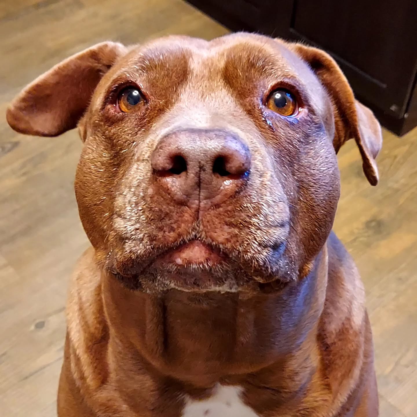 My Trinity! 🥰🍫