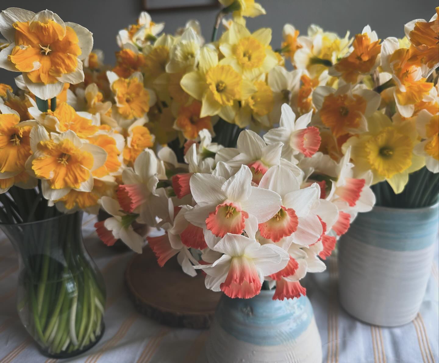 Allegedly, it’s spring…or at least say the daffodils. But then I had to panic-cut bunches of them last night before the wind, hail, and sheets of rain flattened them all, so maybe they’re not such smarty-pants after all. Either way, they’re looking pretty and making my kitchen smell so sweet! #wellgrownfarm #wellgrownflowers #localflowers #daffodils