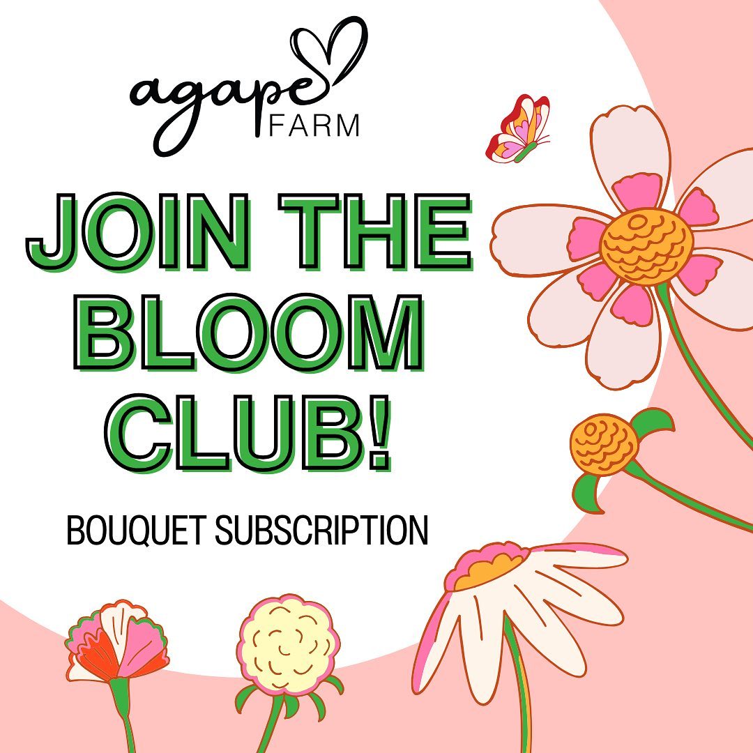 LAUNCH DAY 🚀
—
The weather is extra, extra dreary in the DMV today, but they say April showers bring May flowers…and the flowers are coming indeed😆
Our first newsletter AND the Bloom Club, our bouquet subscription, are officially live💐
Click the 🔗 in the bio to check out our newsletter and shop our flowers🌻 There may be something special for those ready to enjoy beautiful blooms in the newsletter 😉
